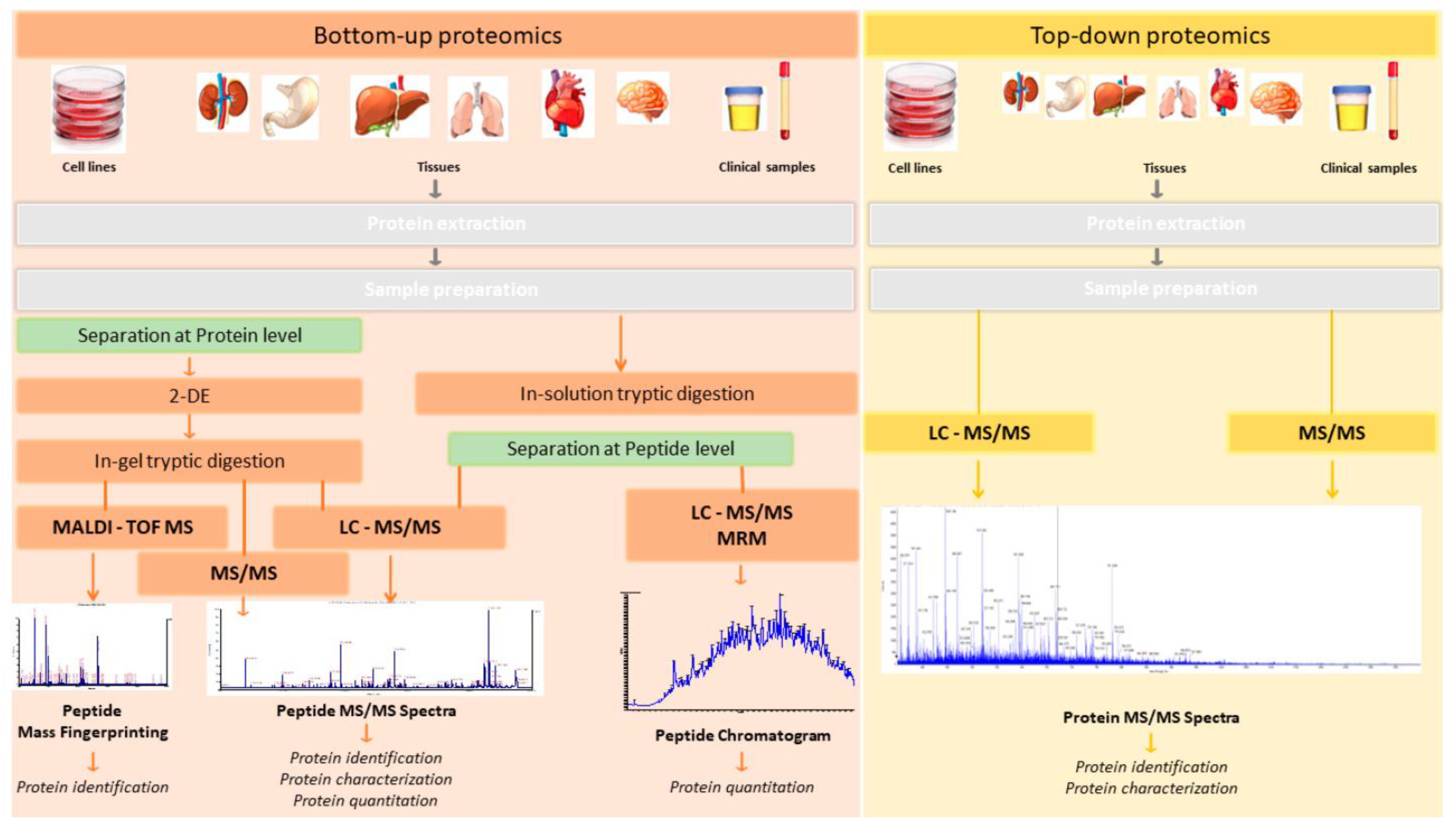 Diabetology 04 00015 g005 Diabetology 04 00015 g005