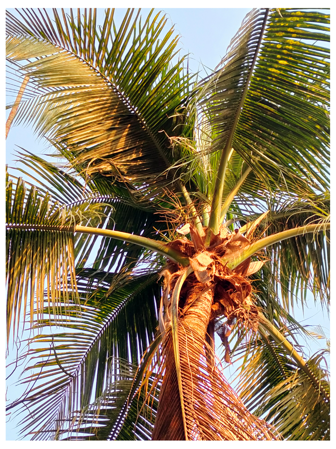 Diabetology 04 00019 g018 Diabetology 04 00019 g018