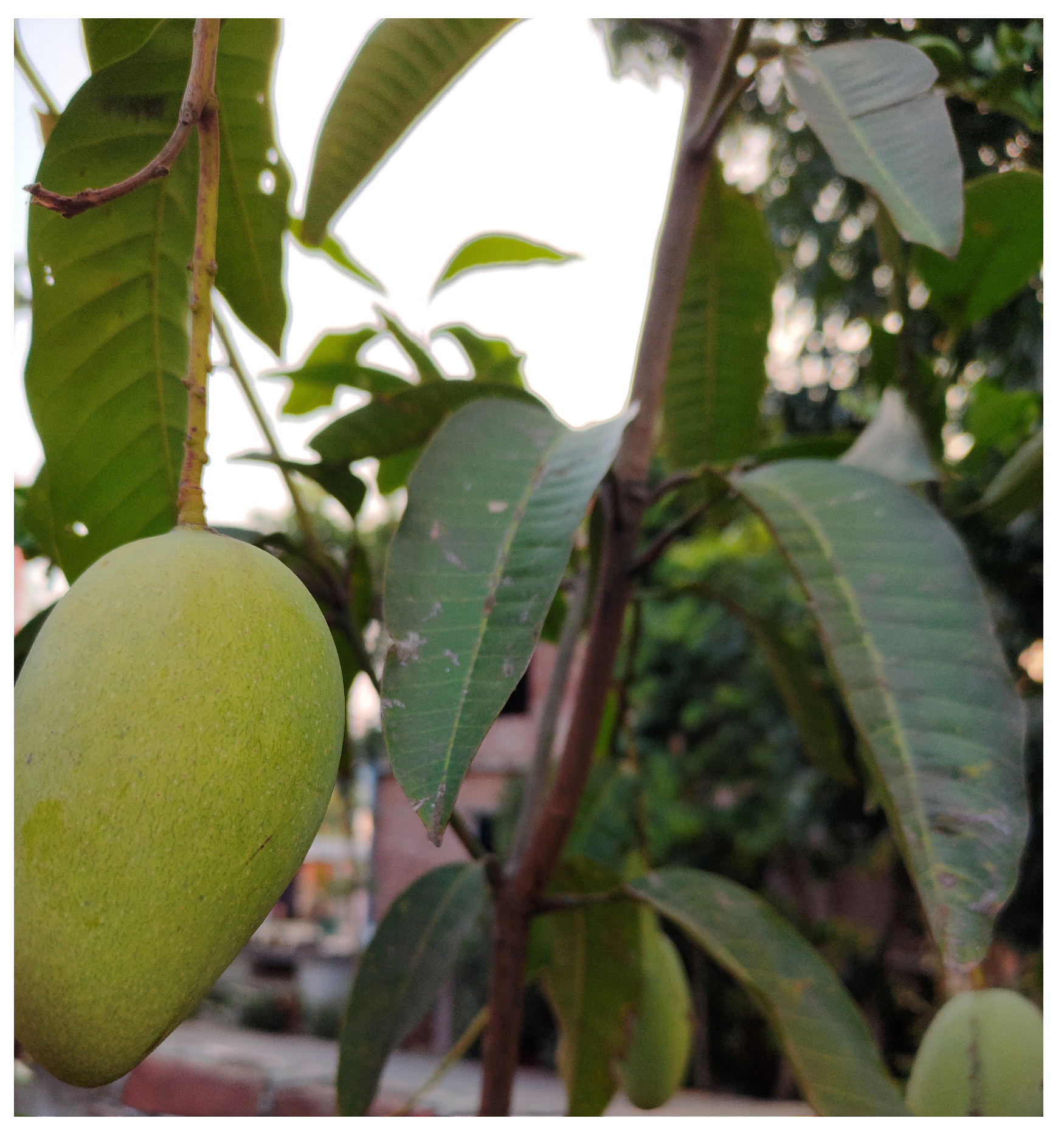 Diabetology 04 00019 g024 Diabetology 04 00019 g024