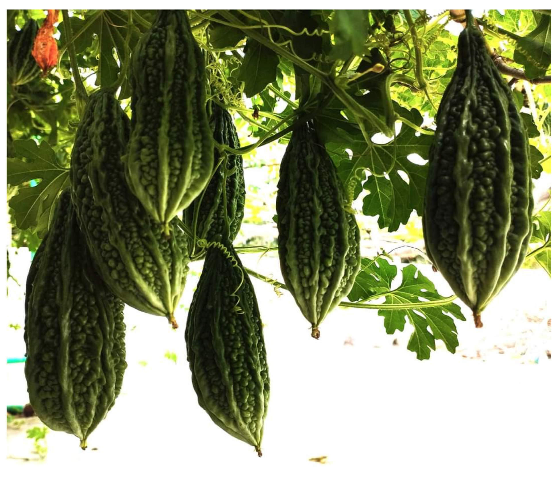 Diabetology 04 00019 g026 Diabetology 04 00019 g026