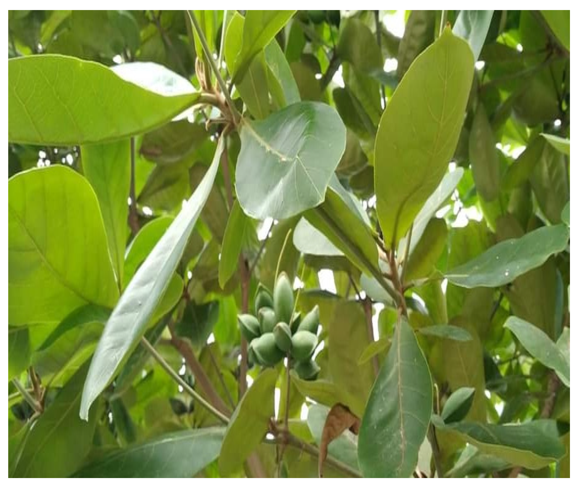 Diabetology 04 00019 g035 Diabetology 04 00019 g035