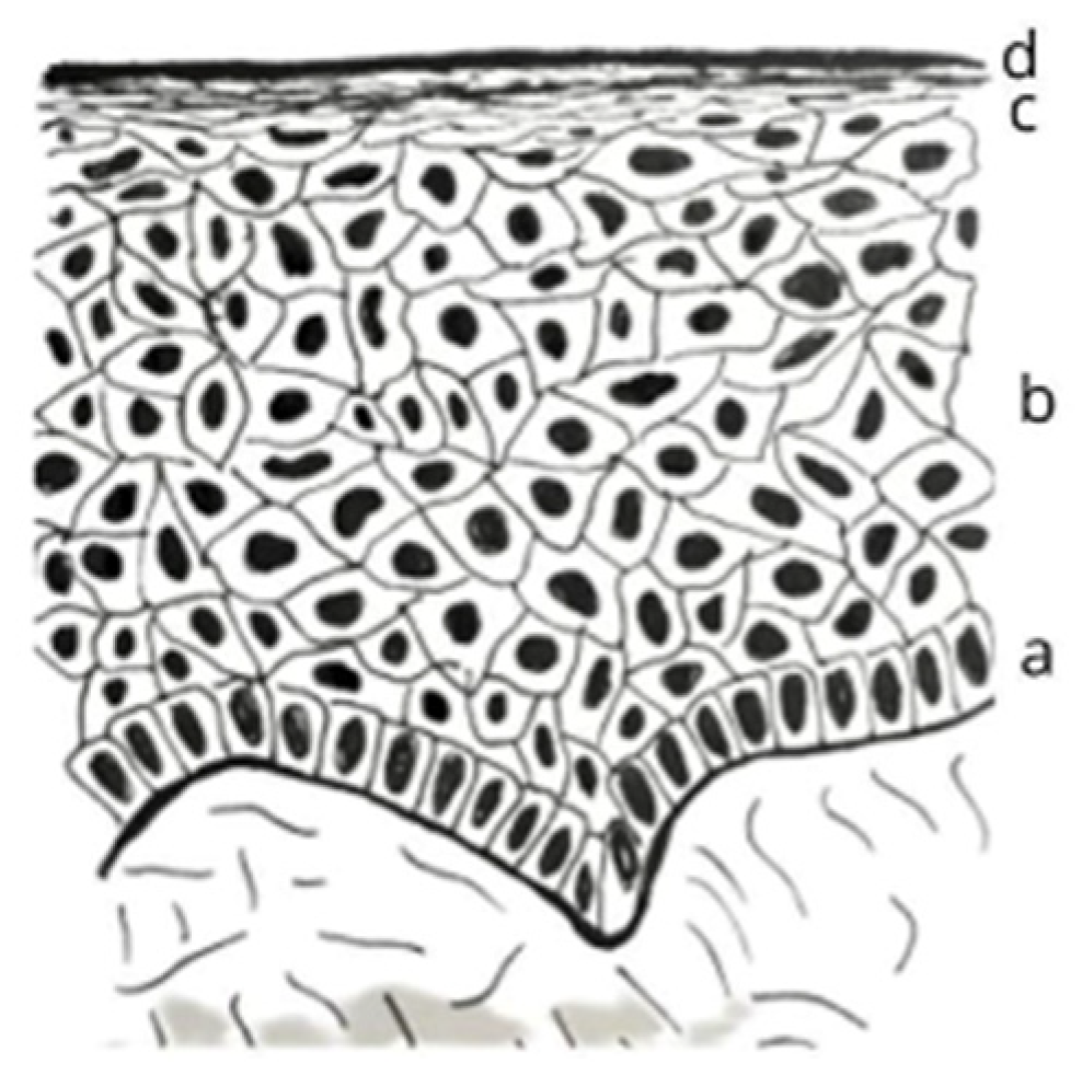 Diabetology 04 00026 g001 Diabetology 04 00026 g001
