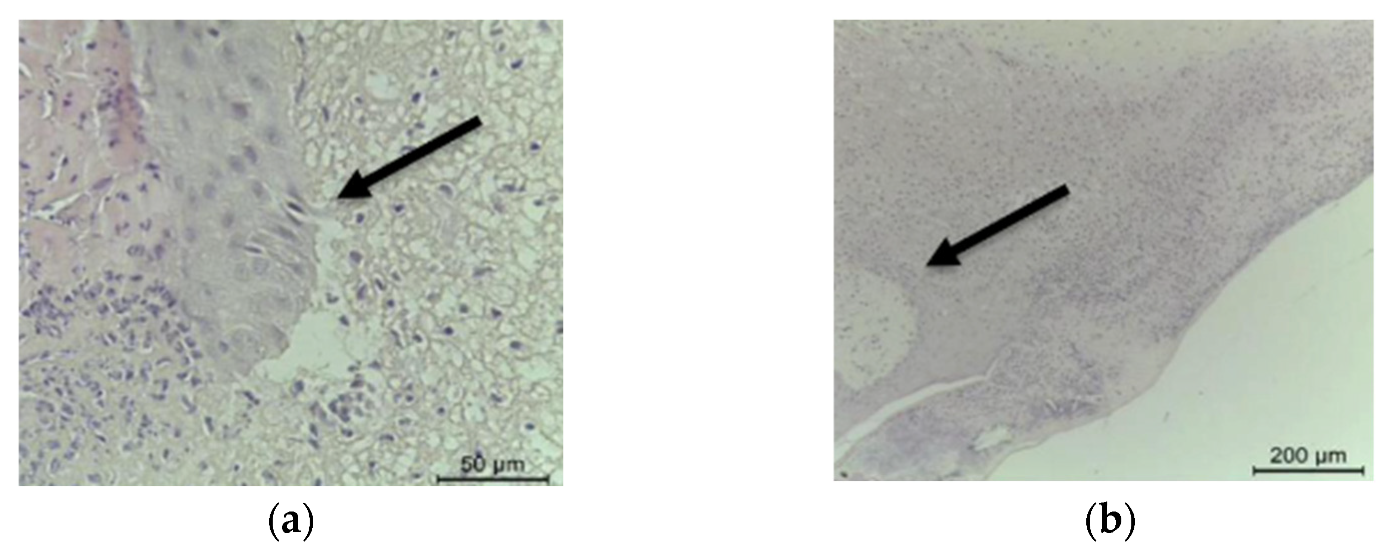 Diabetology 04 00026 g006 Diabetology 04 00026 g006