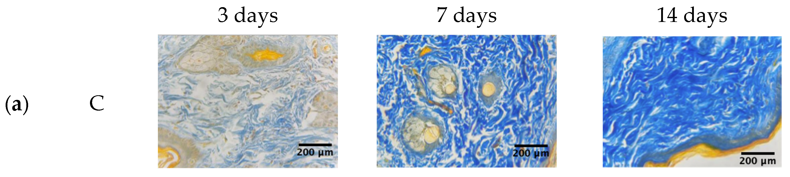 Diabetology 04 00026 g008a Diabetology 04 00026 g008a