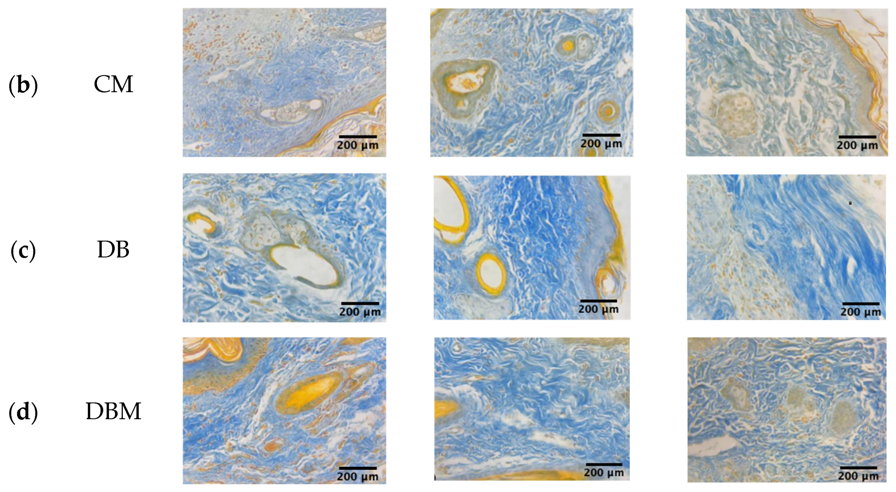 Diabetology 04 00026 g008b Diabetology 04 00026 g008b