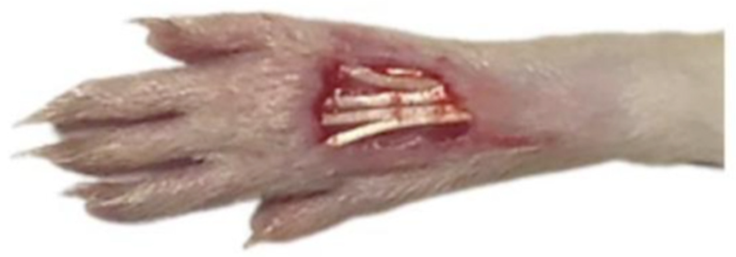 Diabetology 04 00026 g014 Diabetology 04 00026 g014