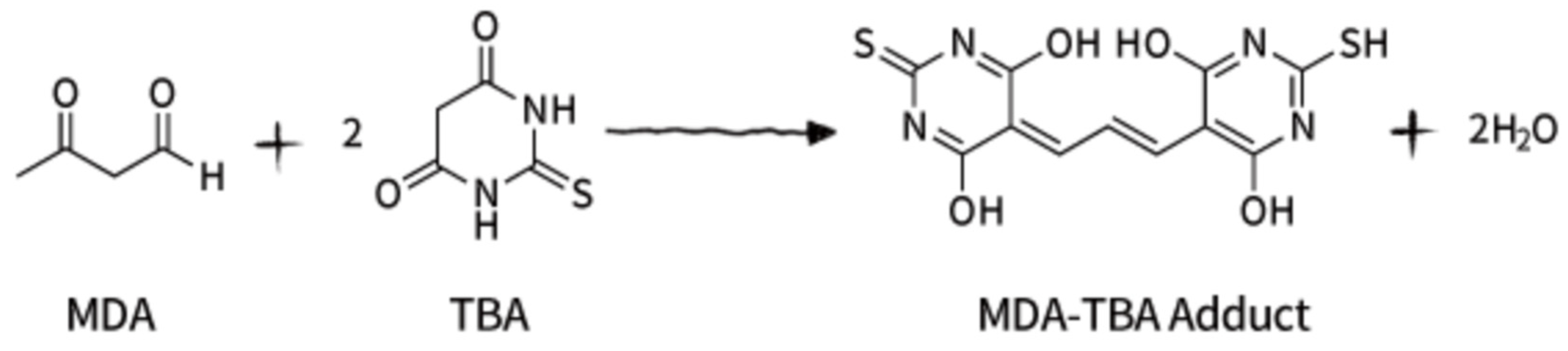 Diabetology 04 00026 g017 Diabetology 04 00026 g017