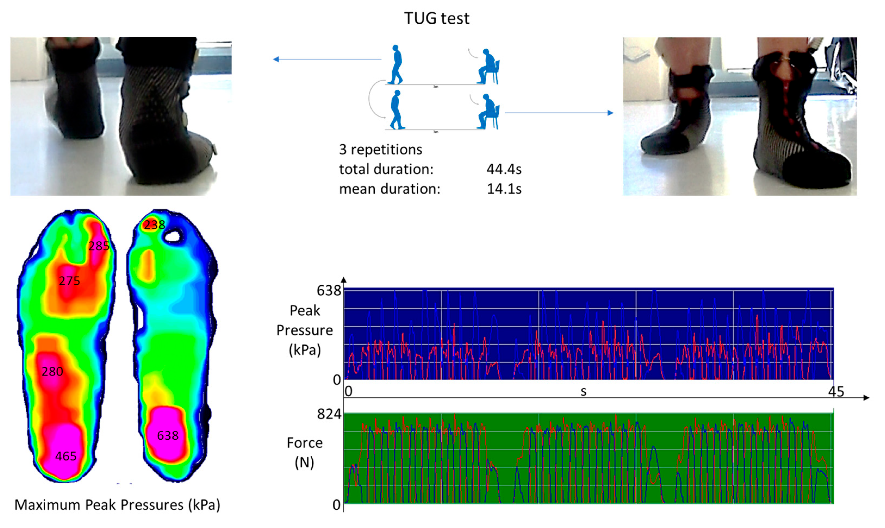 Diabetology 04 00029 g005