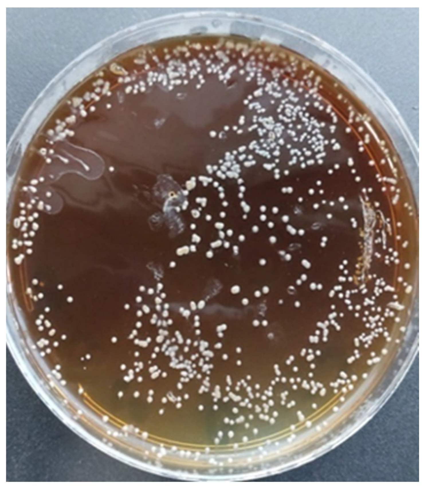 Diabetology 05 00010 g0a1