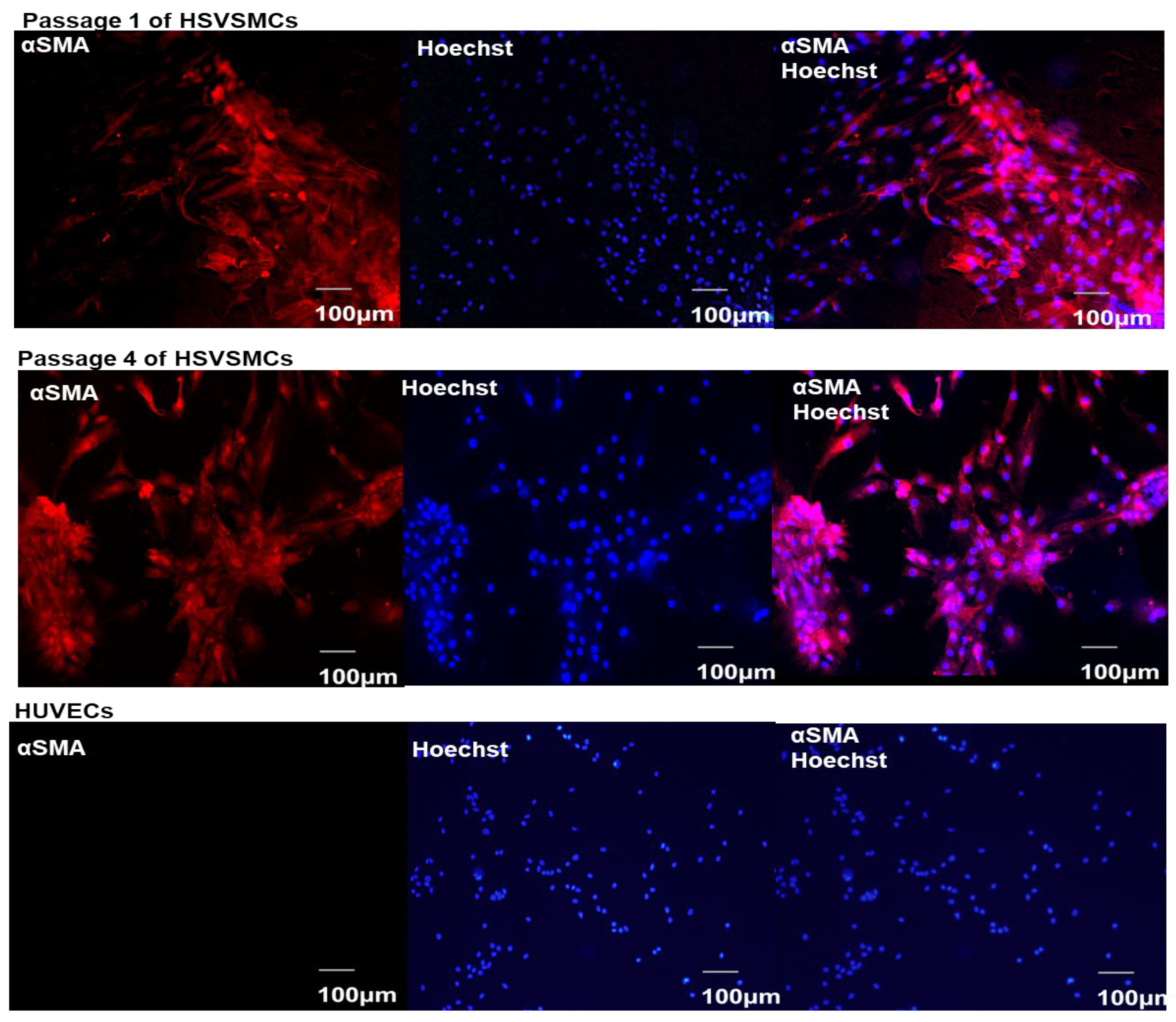 Diabetology 05 00013 g001