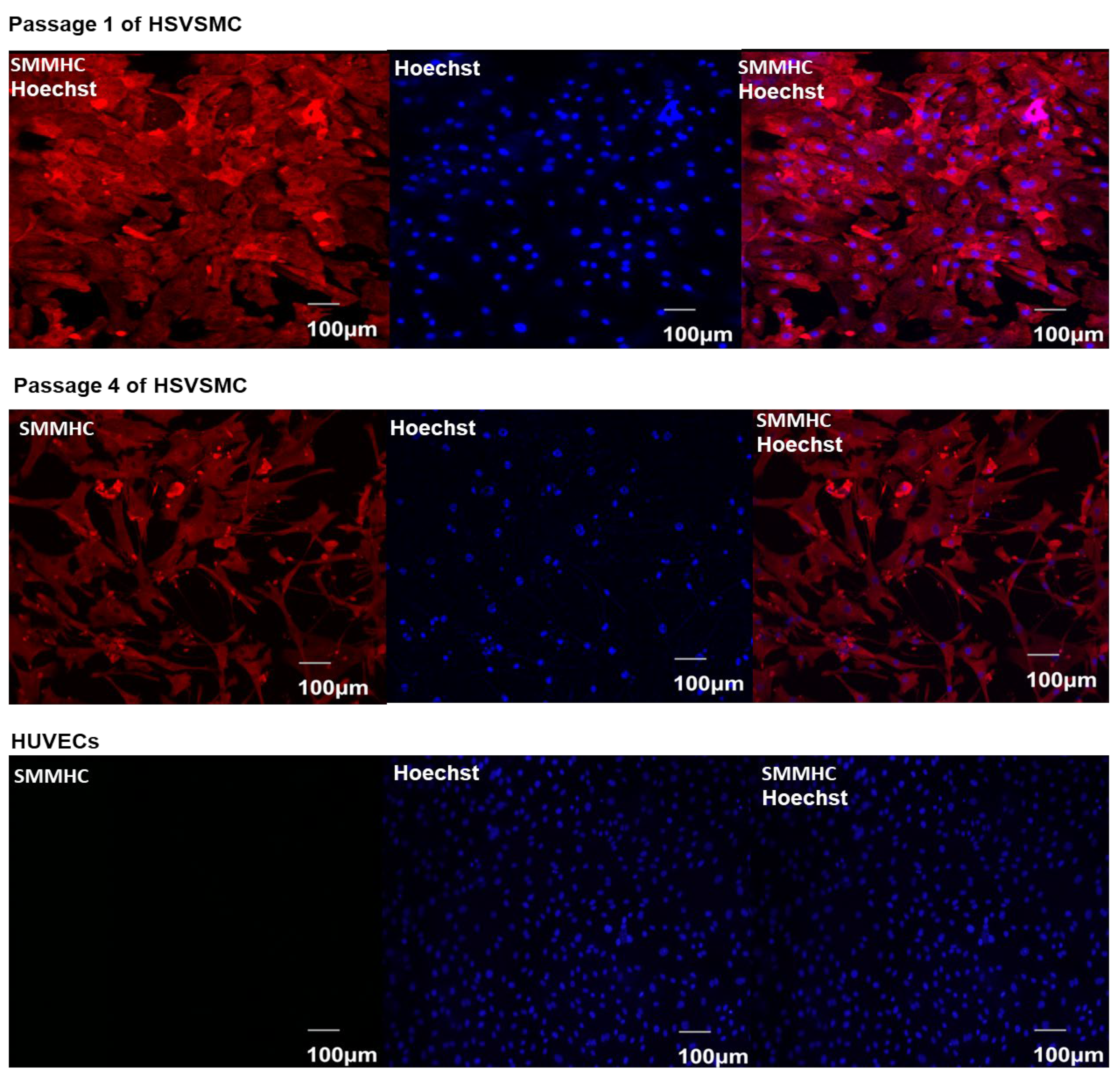 Diabetology 05 00013 g002