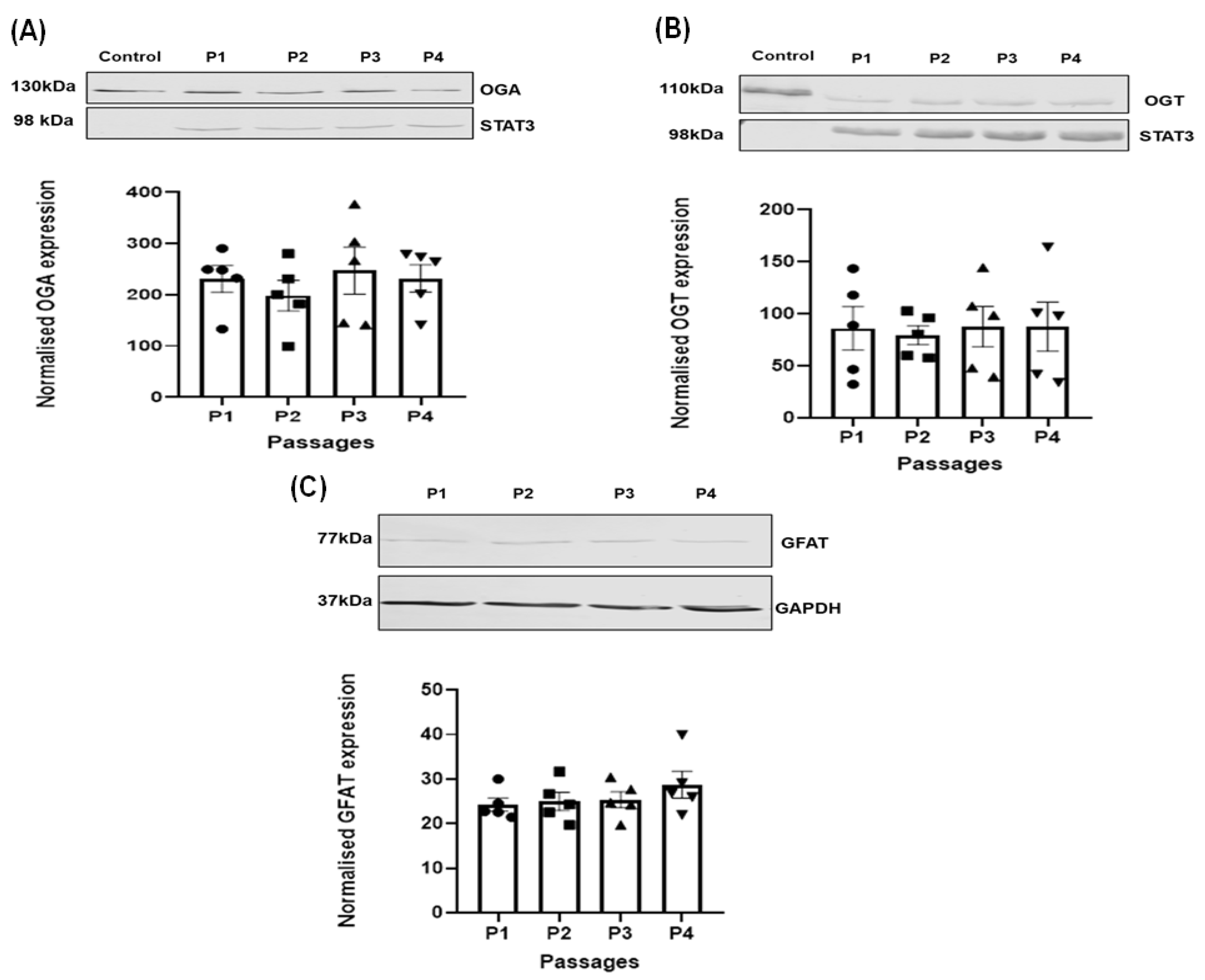 Diabetology 05 00013 g004