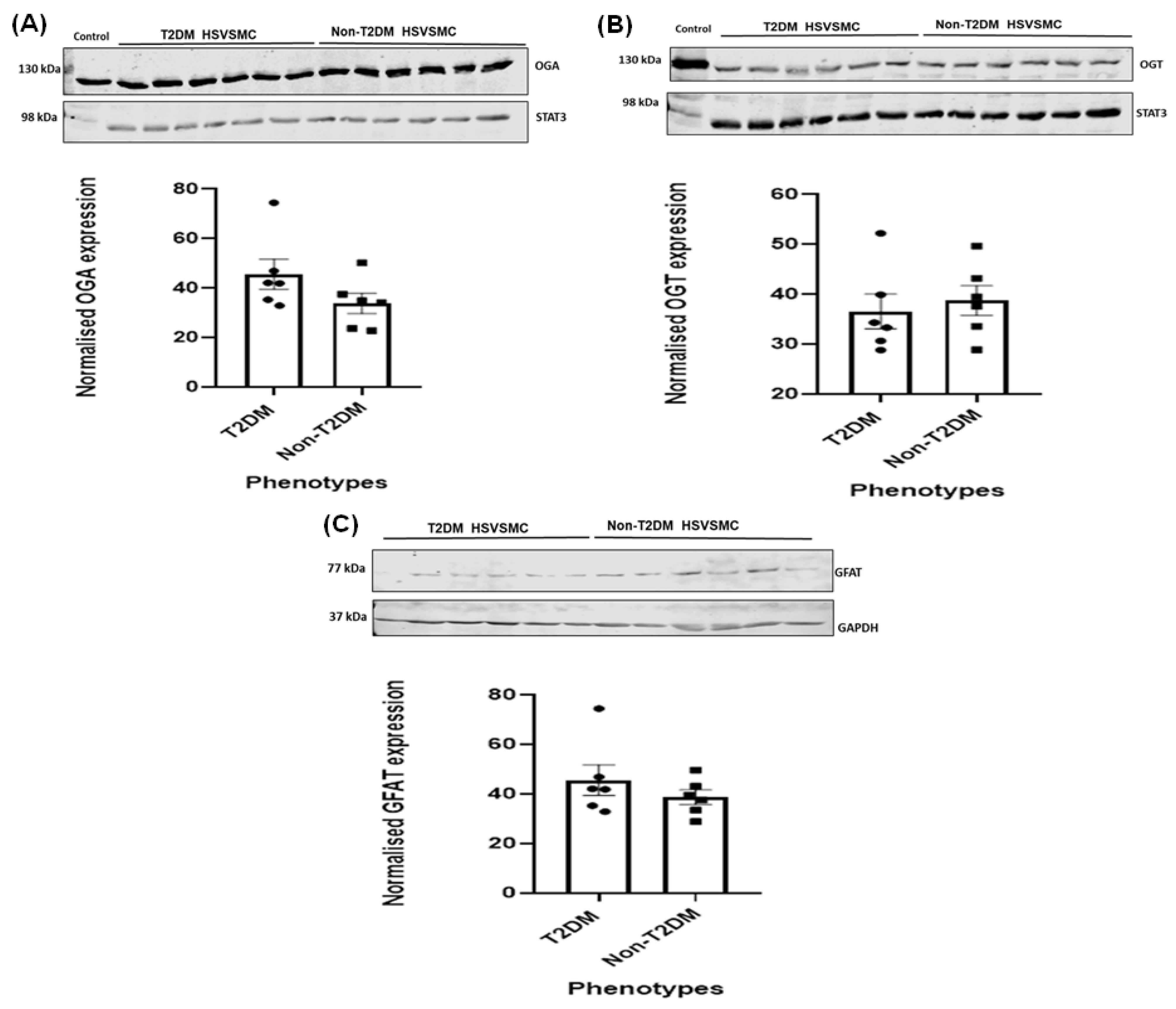 Diabetology 05 00013 g005