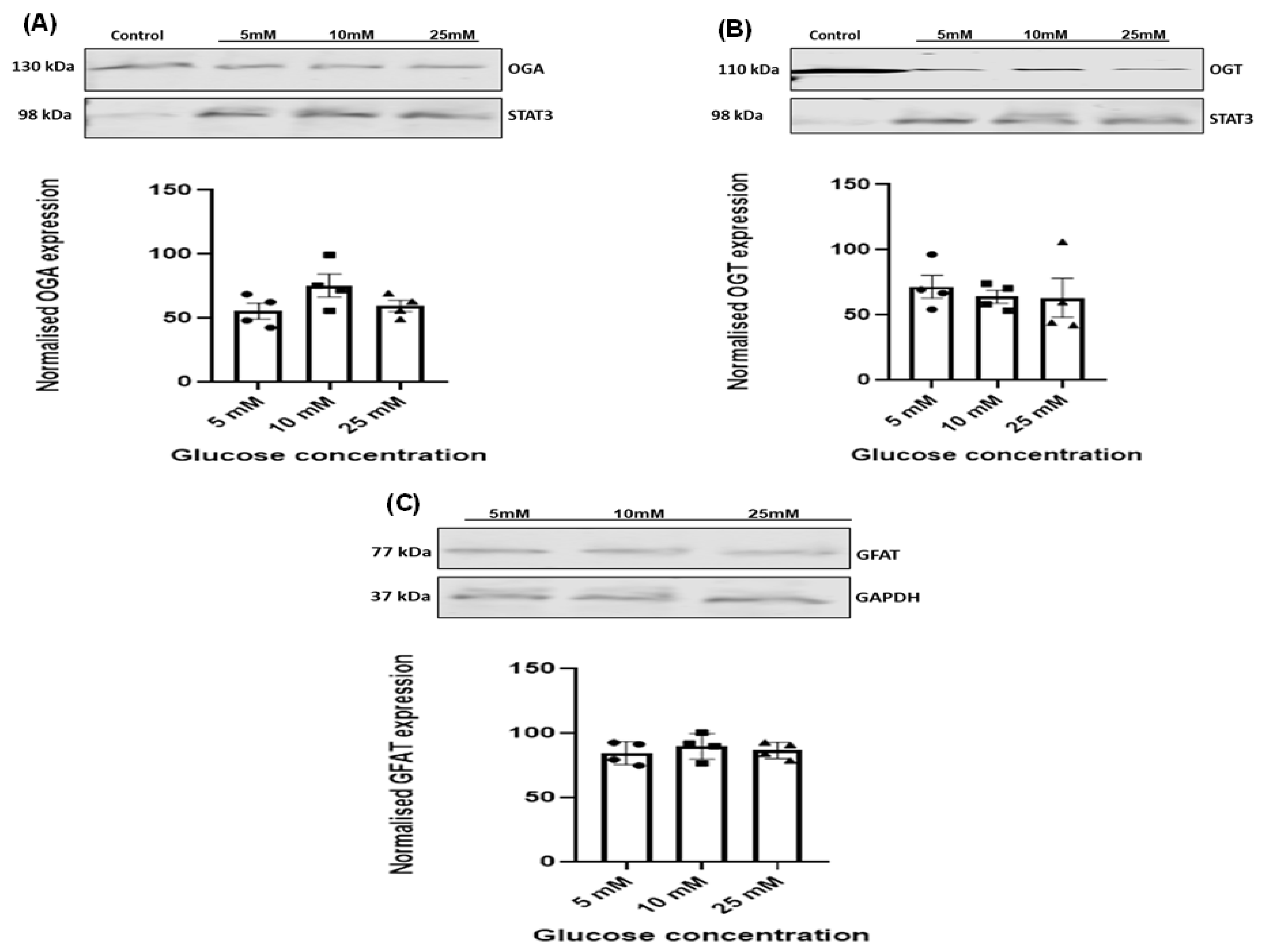 Diabetology 05 00013 g006