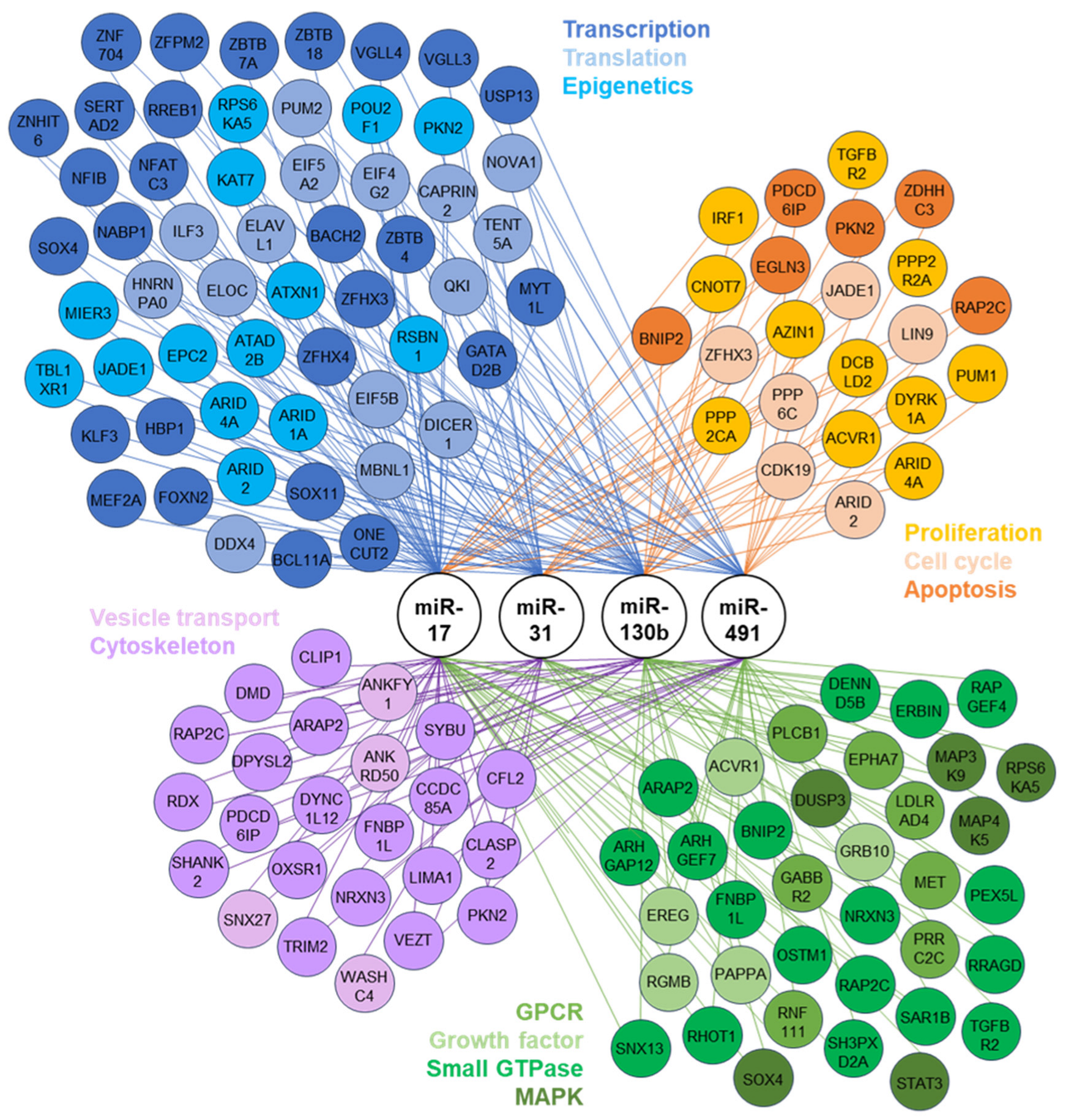 Diabetology 05 00014 g004