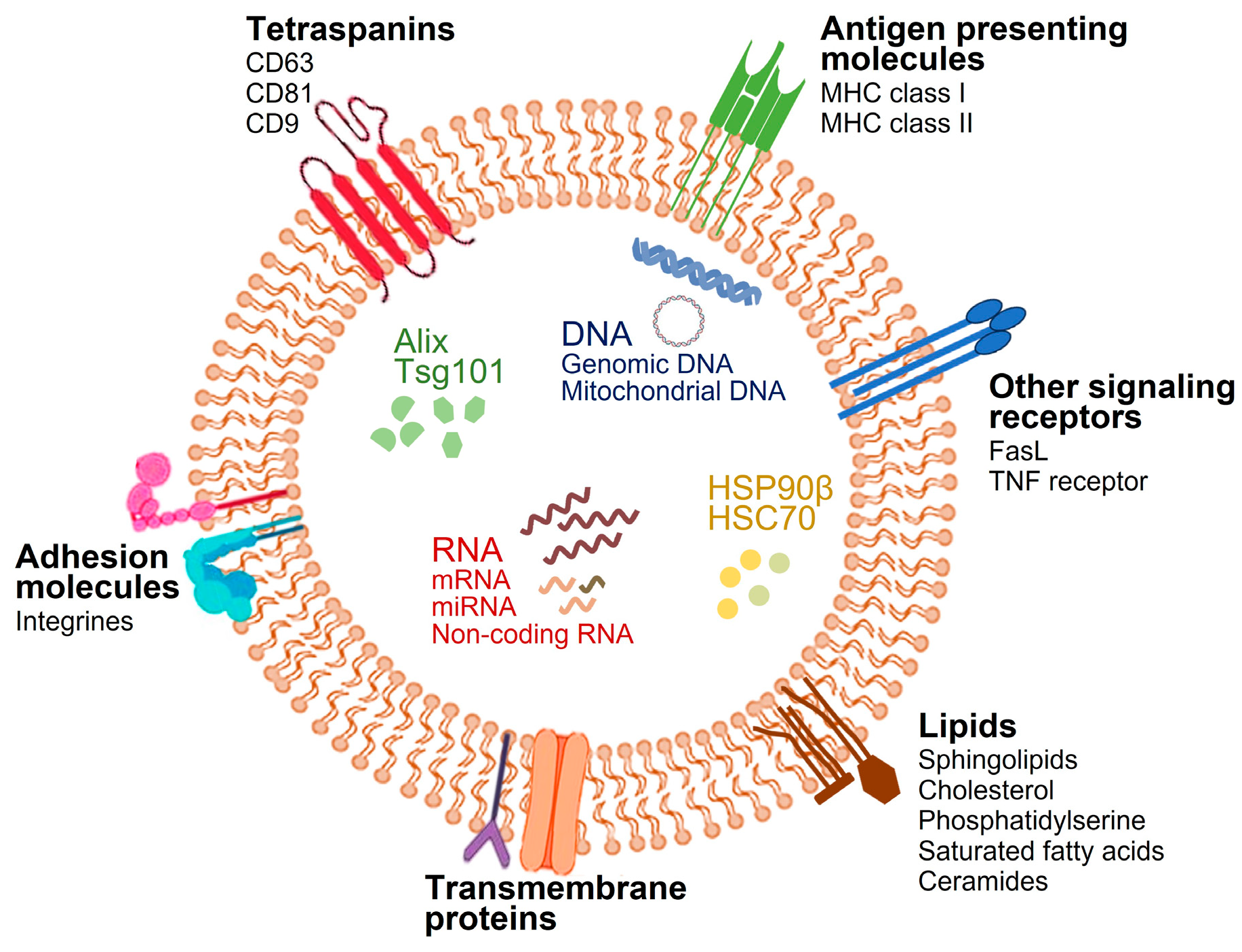 Diabetology 05 00052 g002