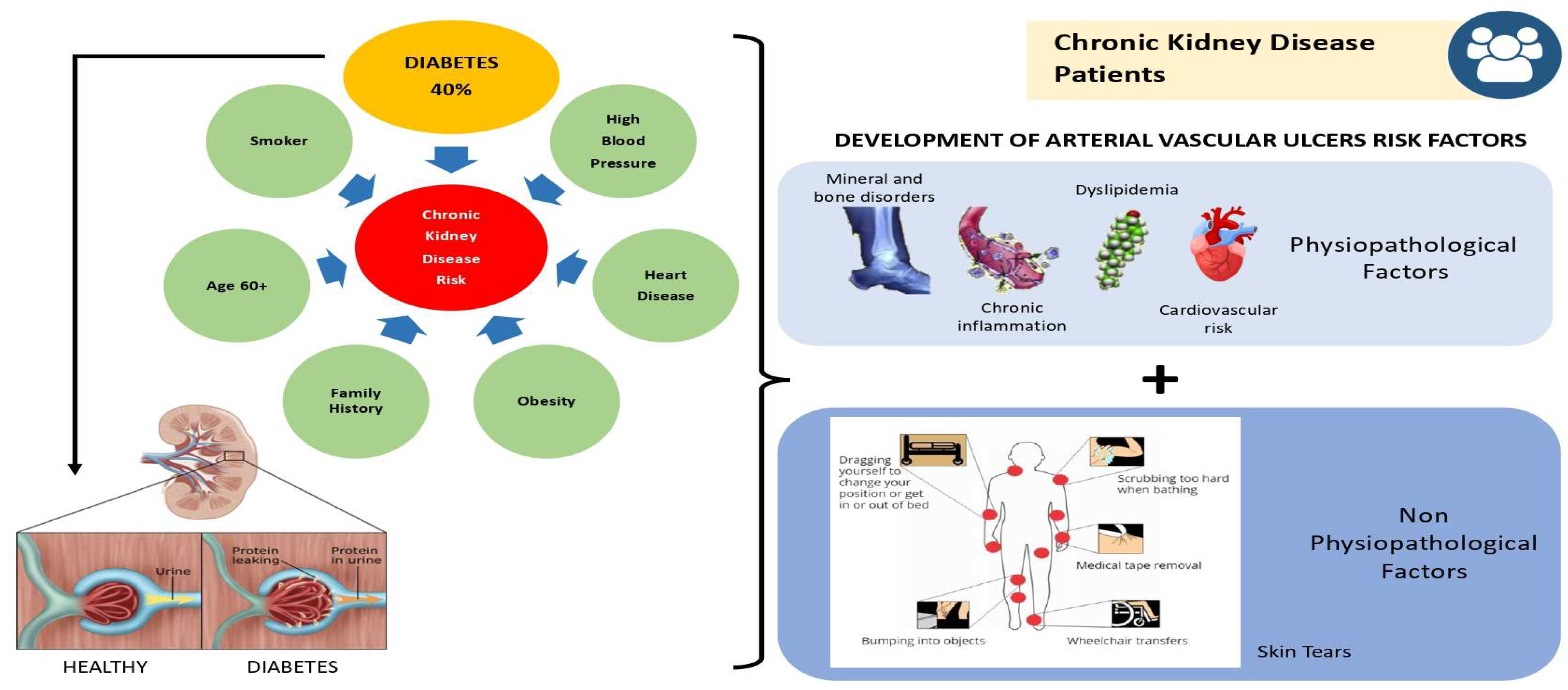 Diabetology 06 00010 g001 Diabetology 06 00010 g001