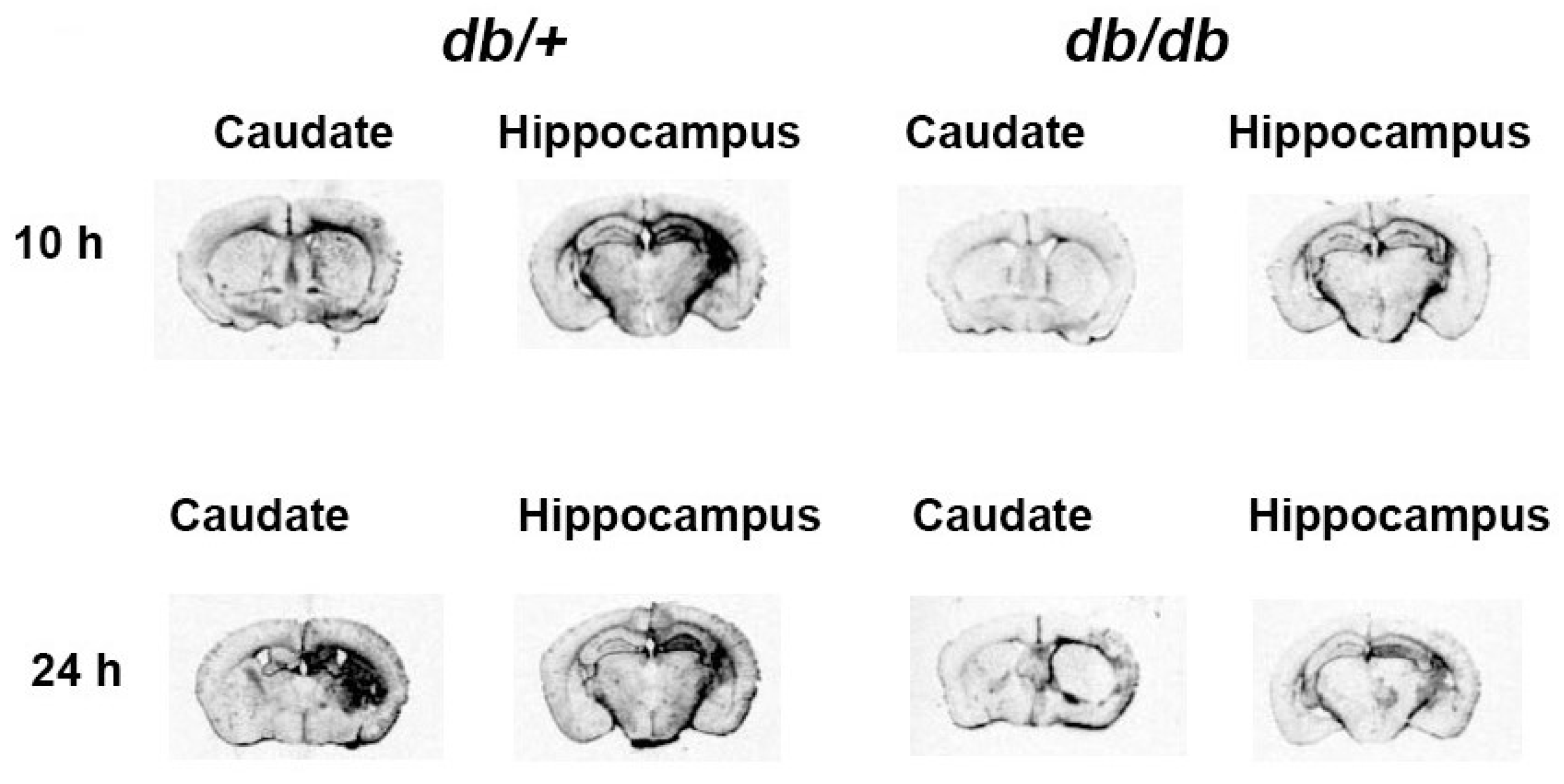 Diabetology 06 00016 g002