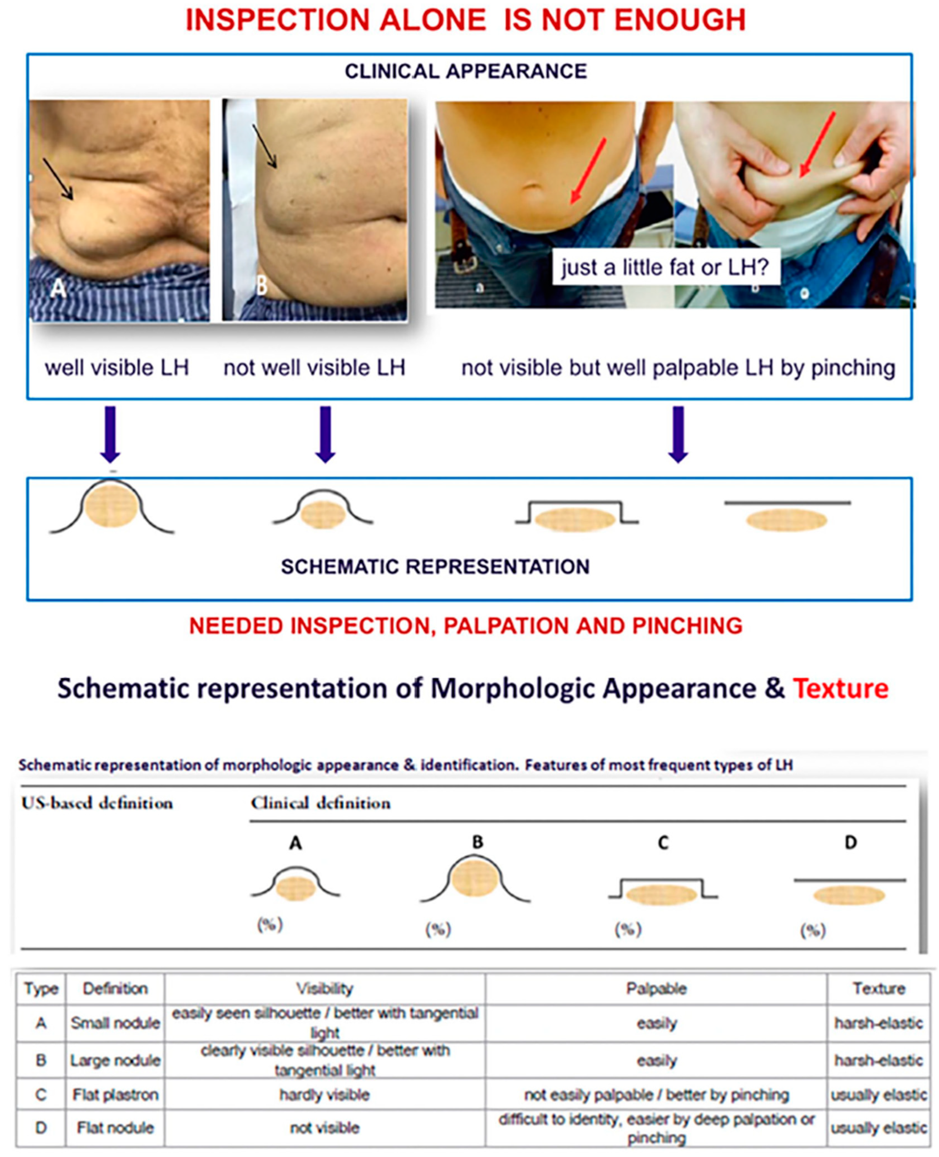 Diabetology 06 00022 g012