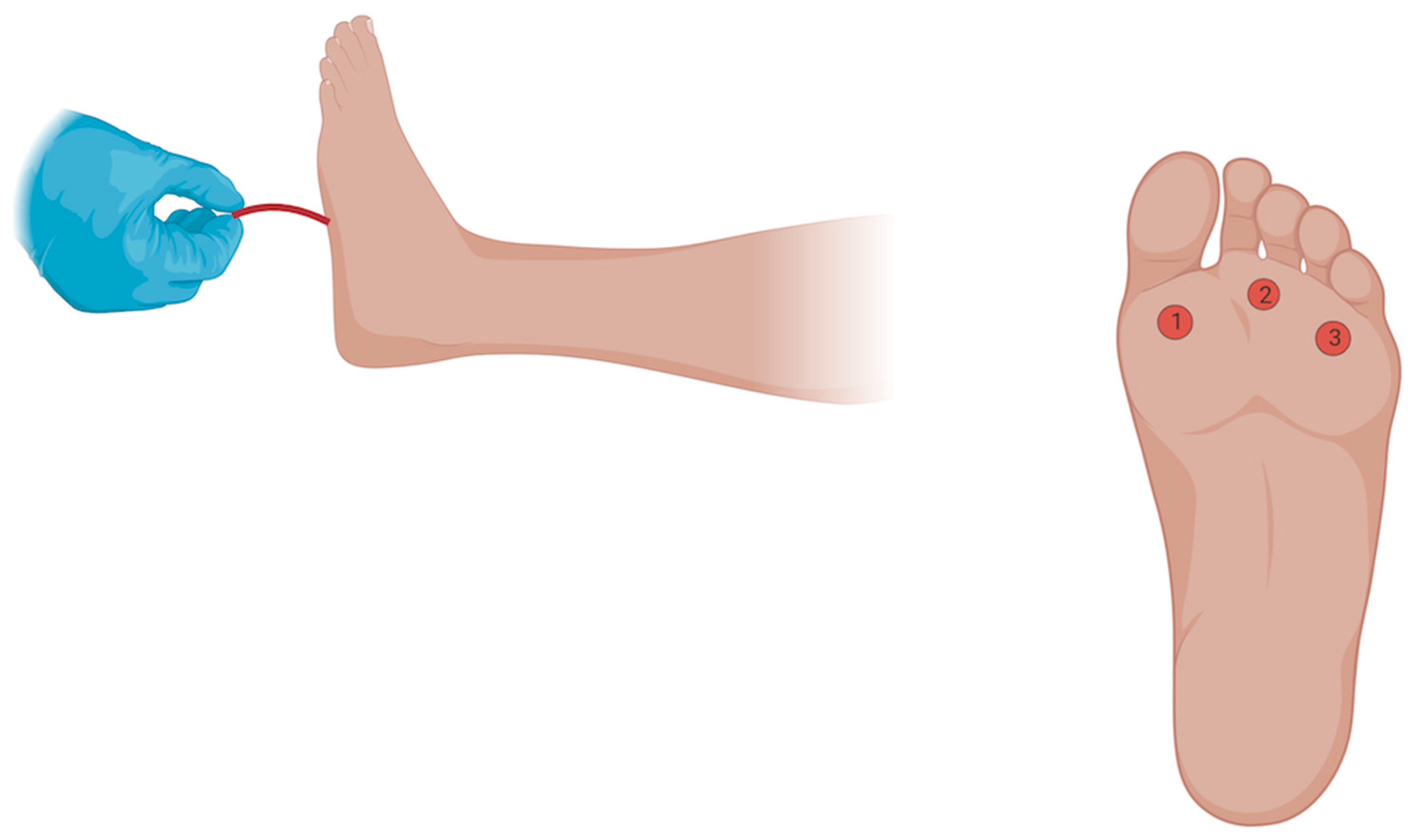 Diabetology 06 00024 g001 Diabetology 06 00024 g001