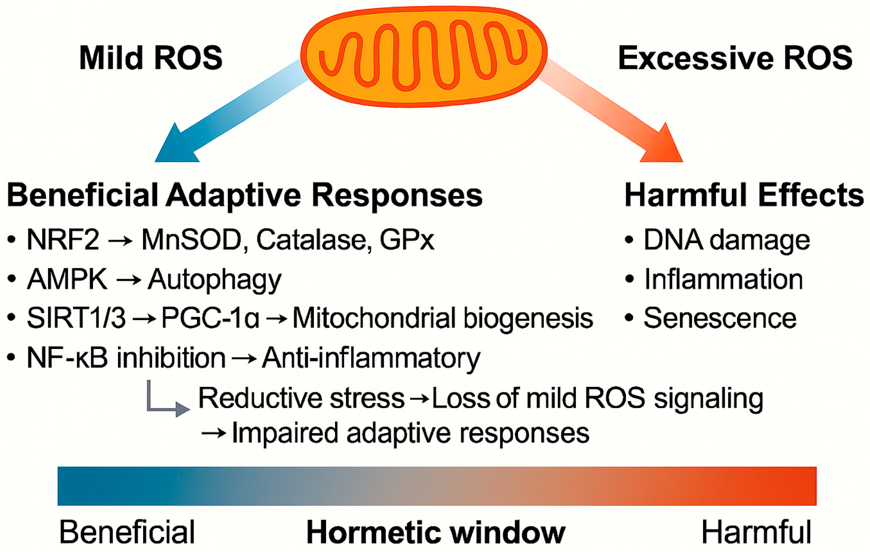 Diabetology 06 00111 g001