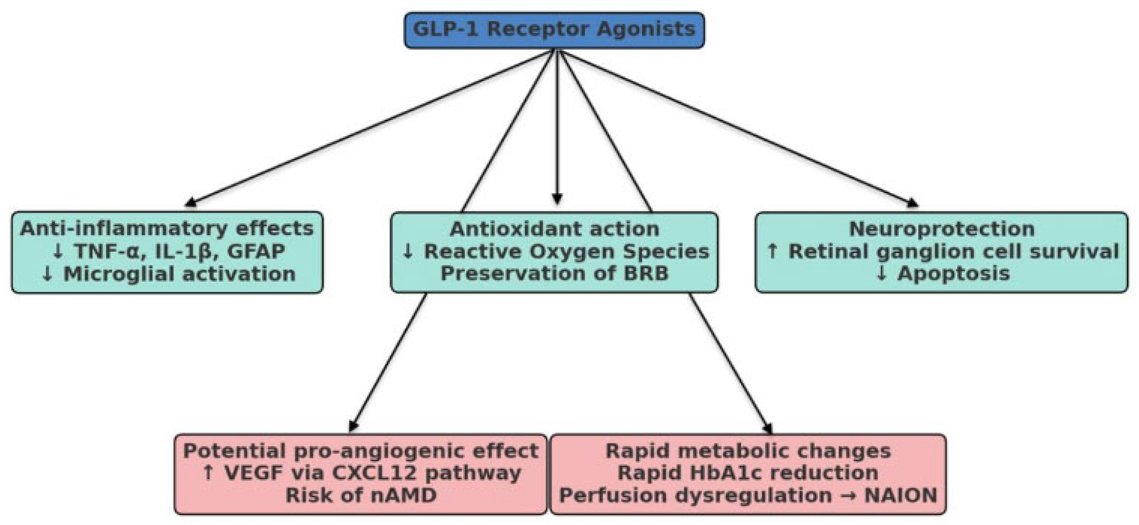 Diabetology 06 00117 g001 Diabetology 06 00117 g001