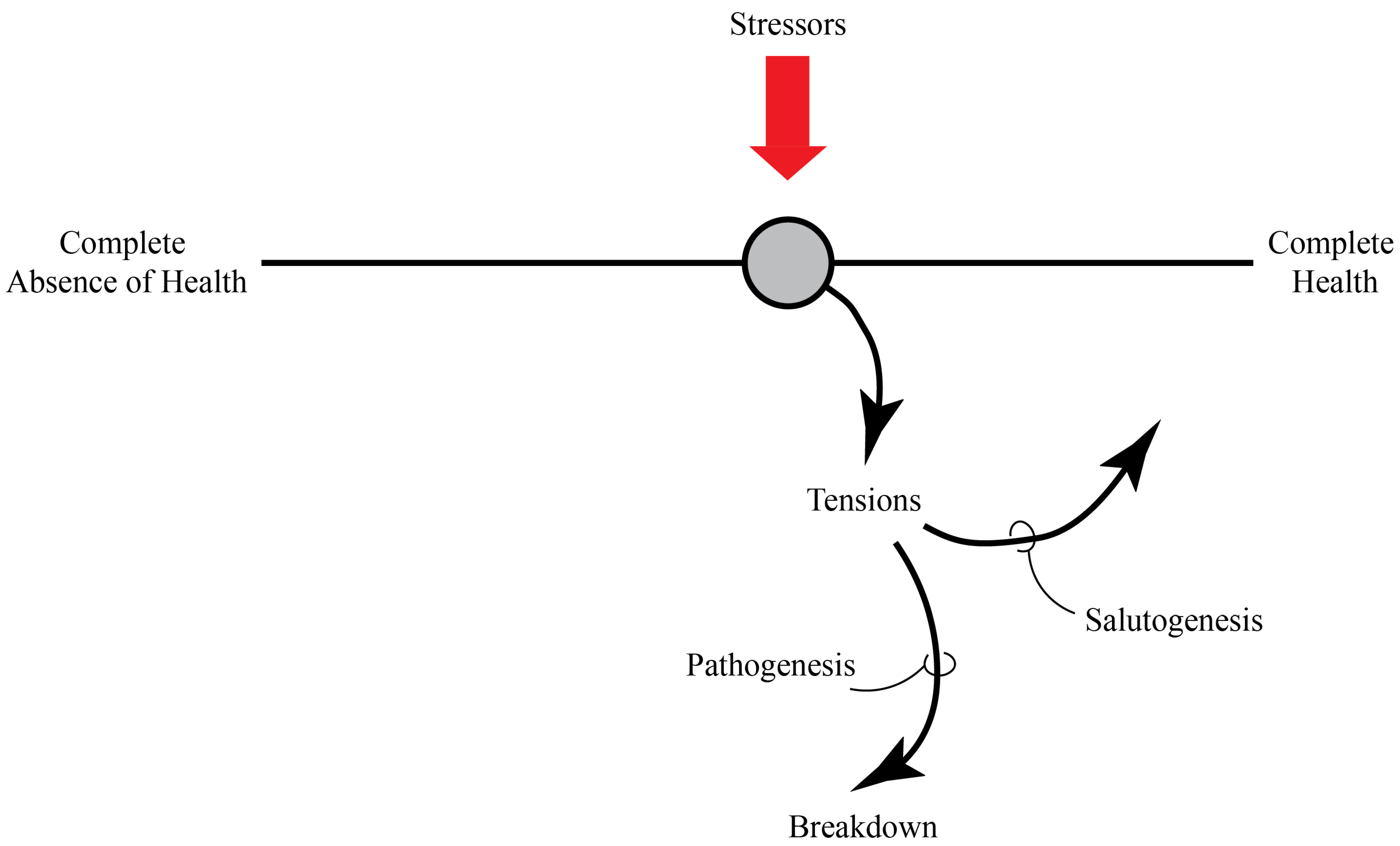 Diabetology 06 00124 g001