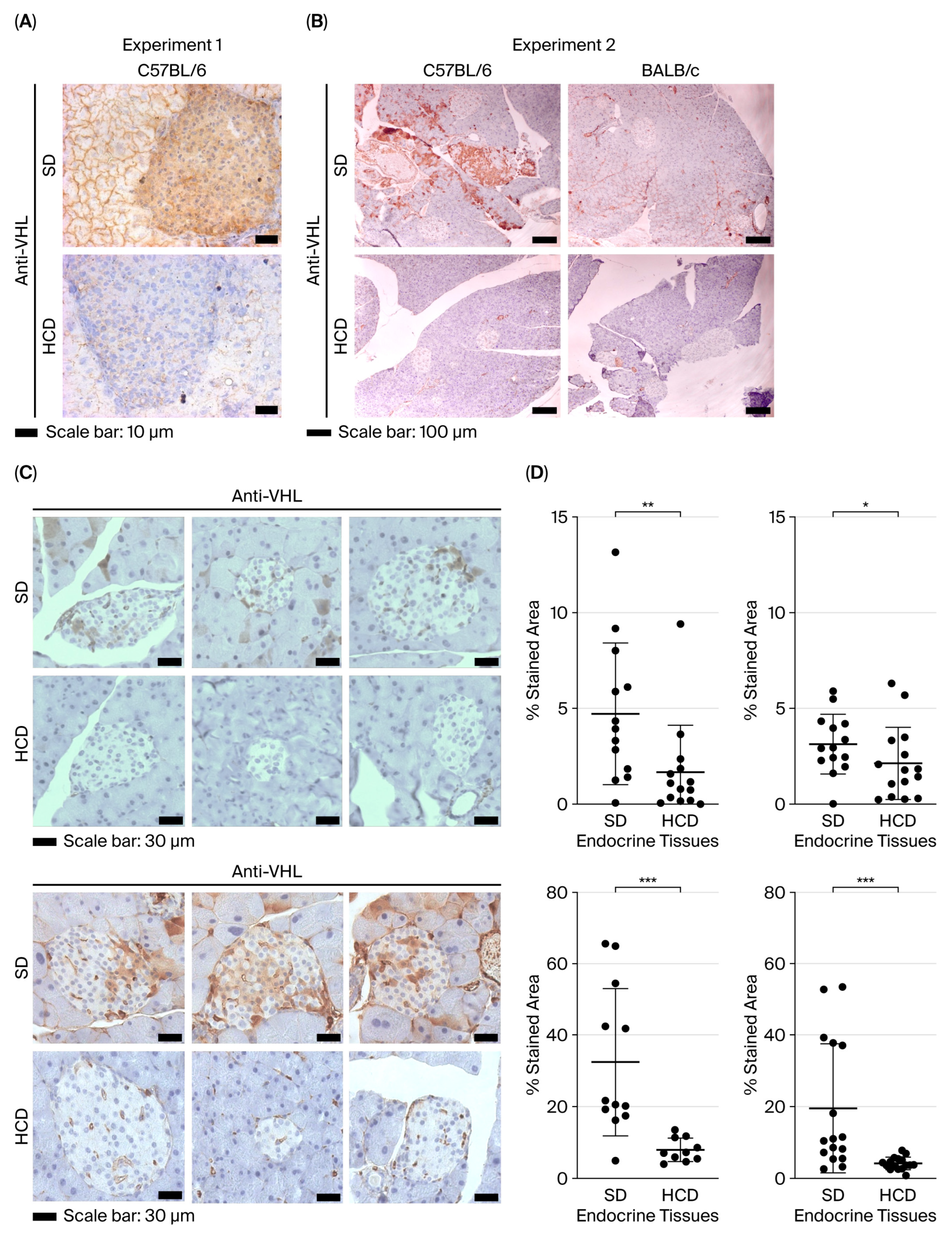 Diabetology 06 00143 g002