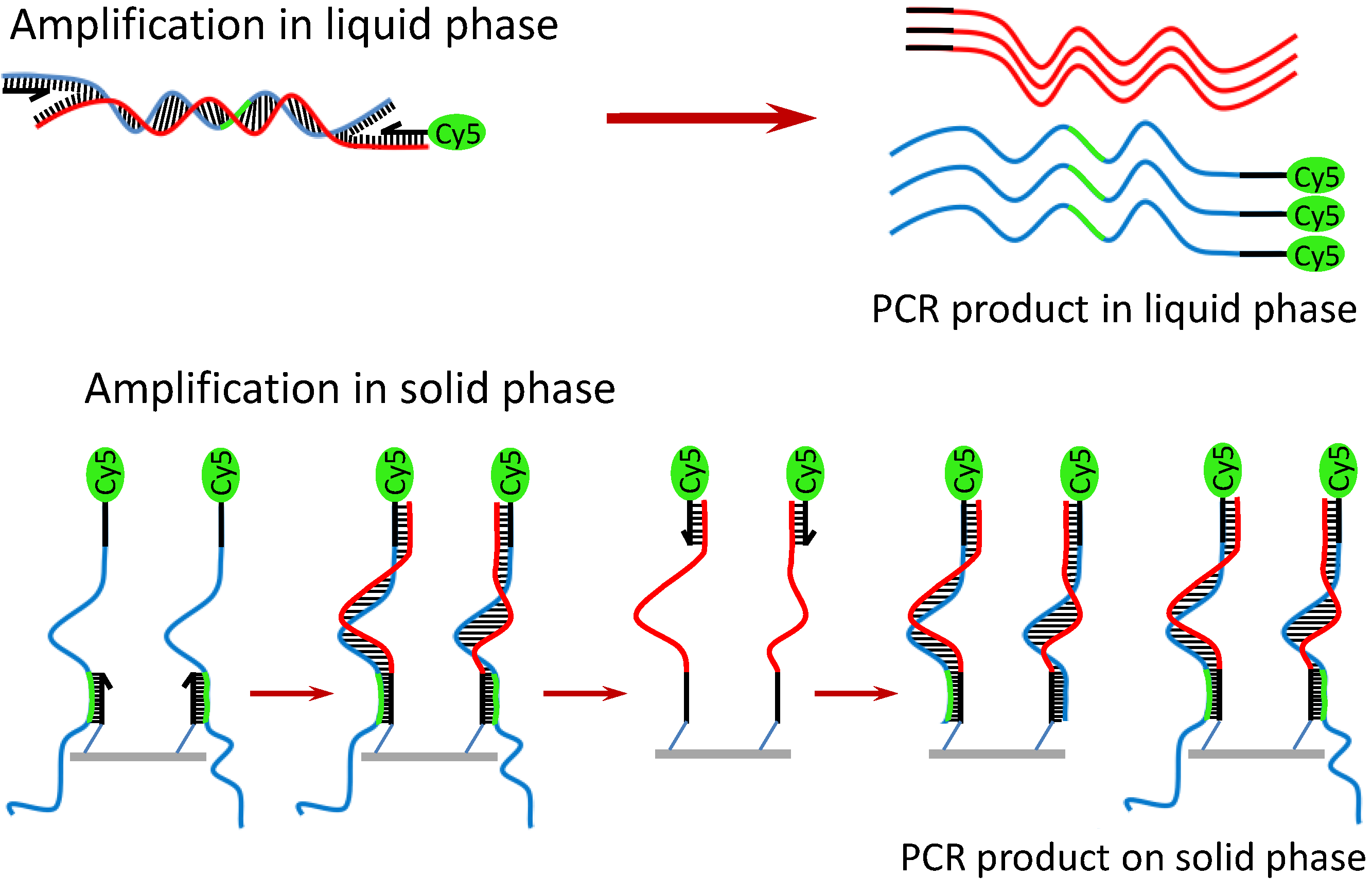Diagnostics 02 00072 g005 1024