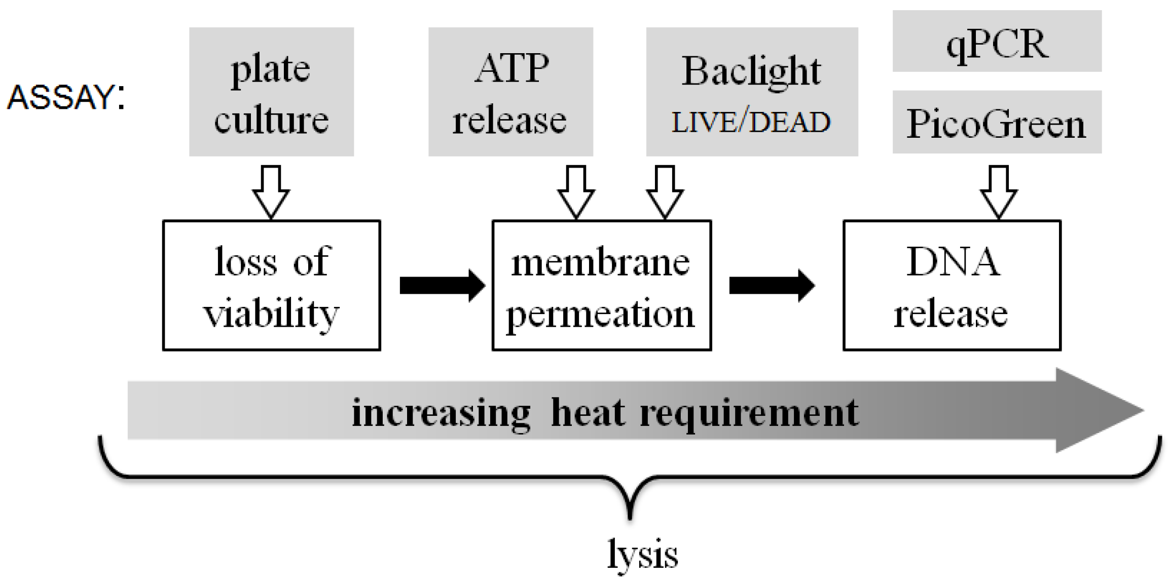 Diagnostics 03 00105 g008 1024