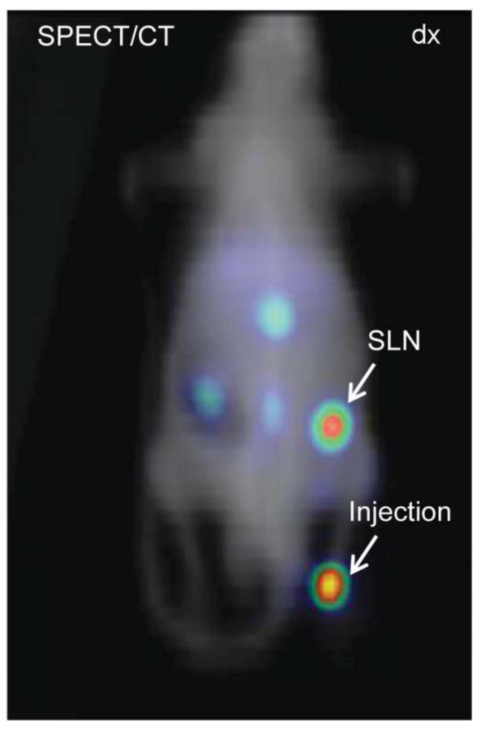 Diagnostics 04 00013 g003 1024