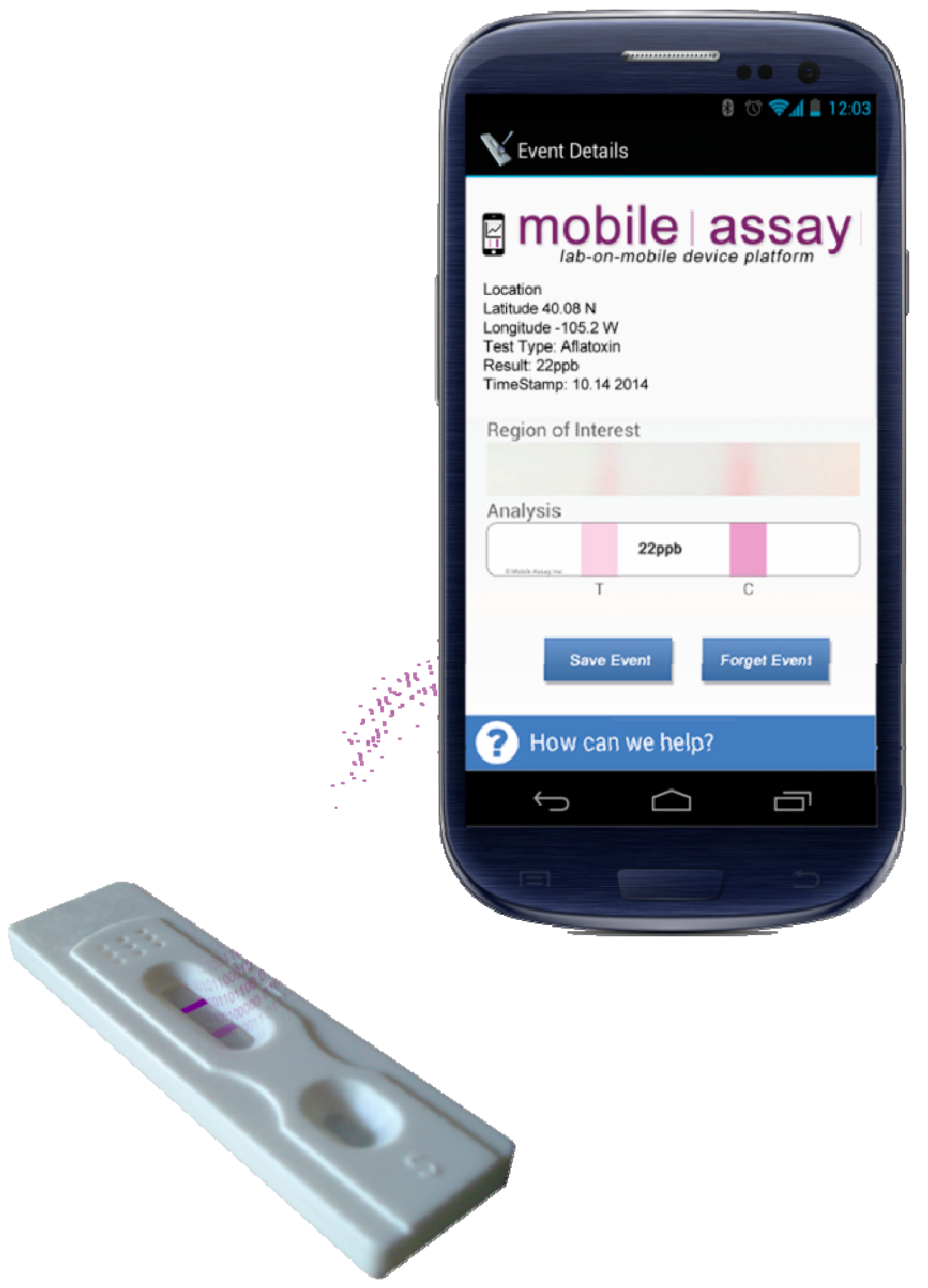 Diagnostics 04 00104 g004