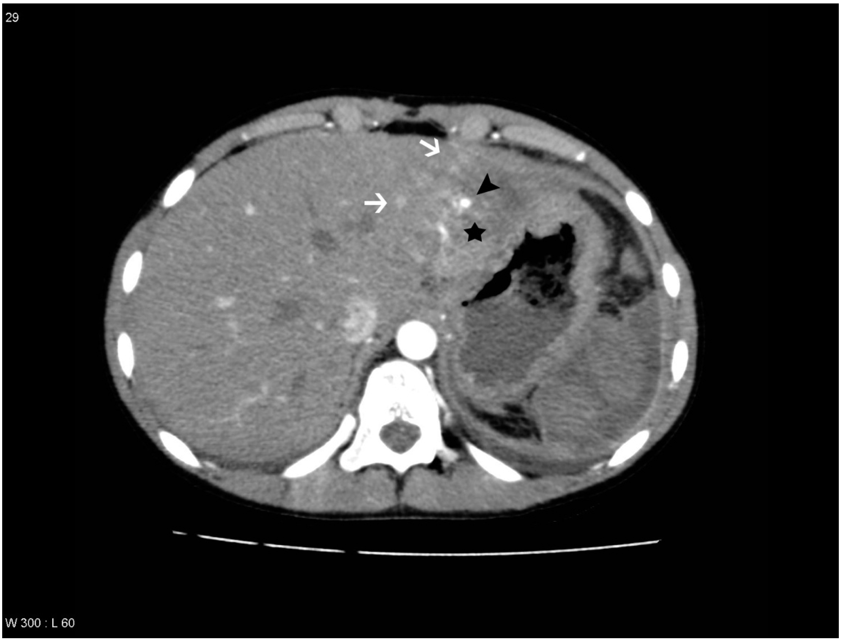 Diagnostics 04 00129 g001 1024