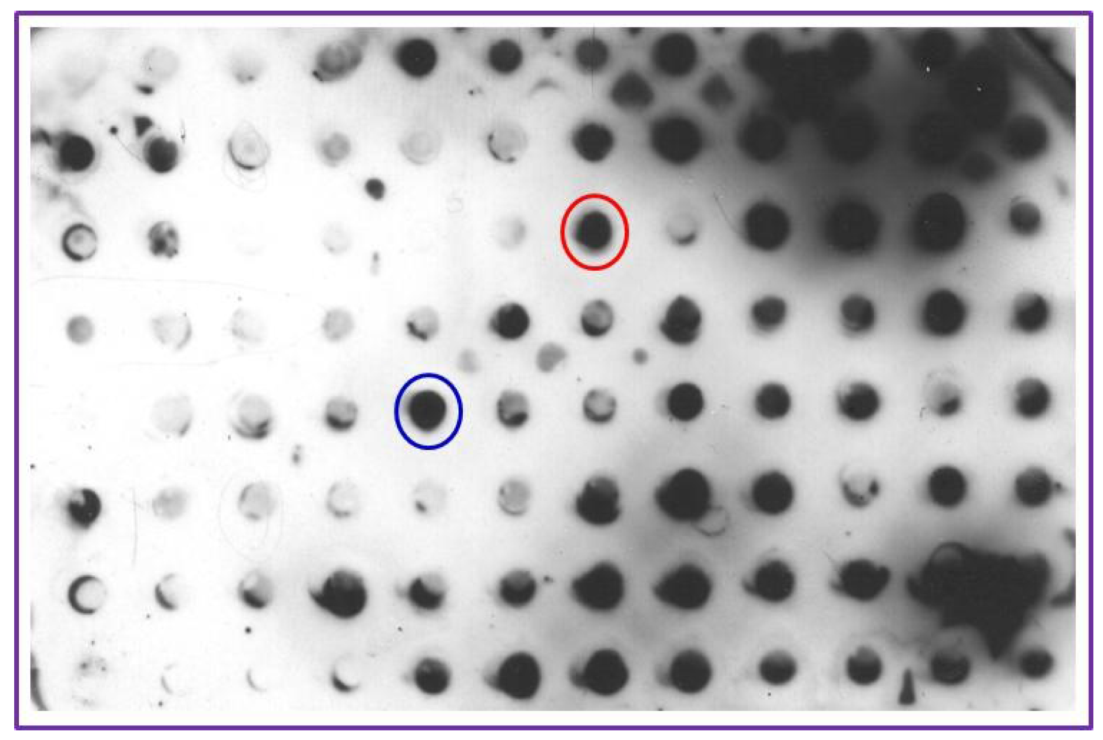 Diagnostics 05 00177 g002