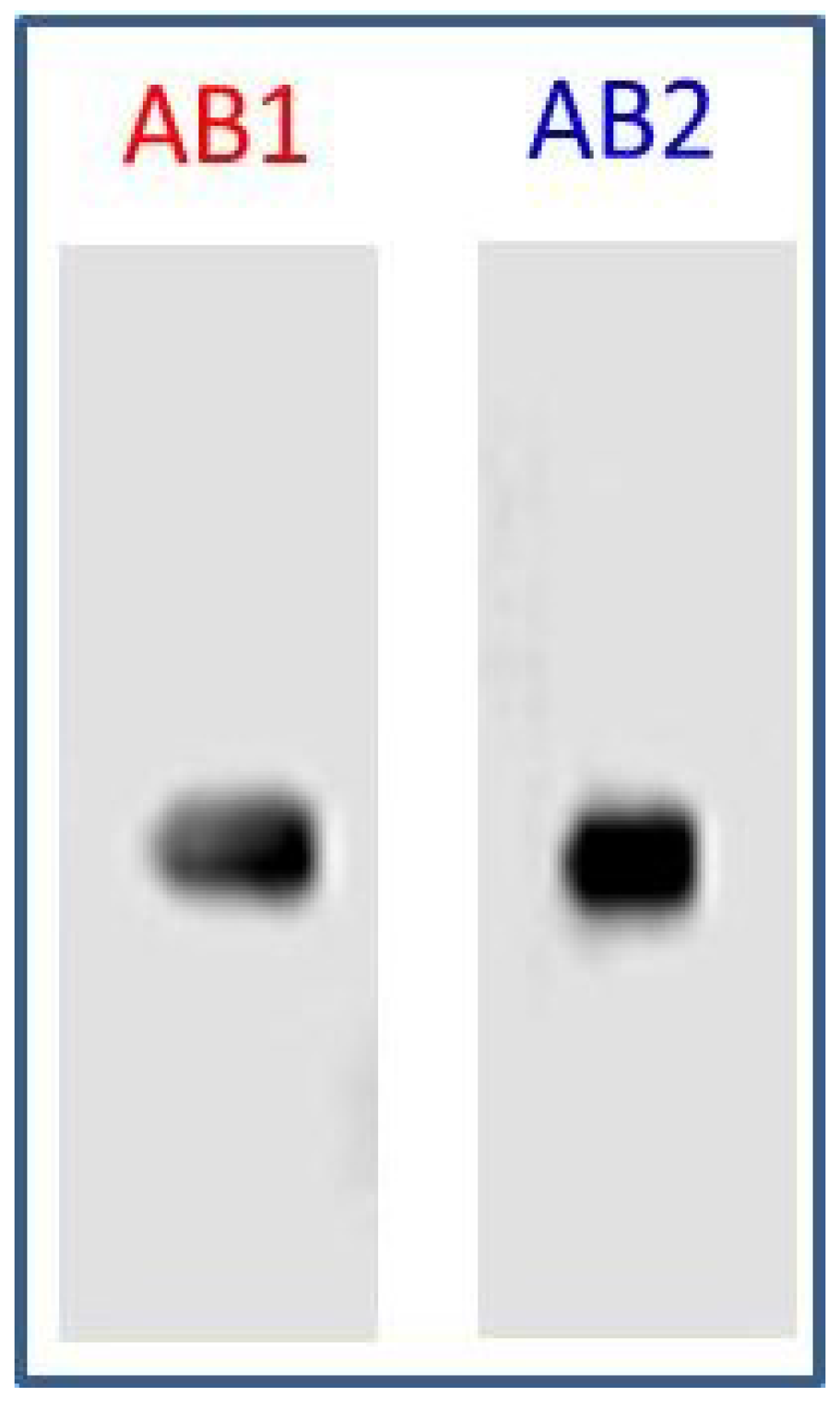 Diagnostics 05 00177 g003