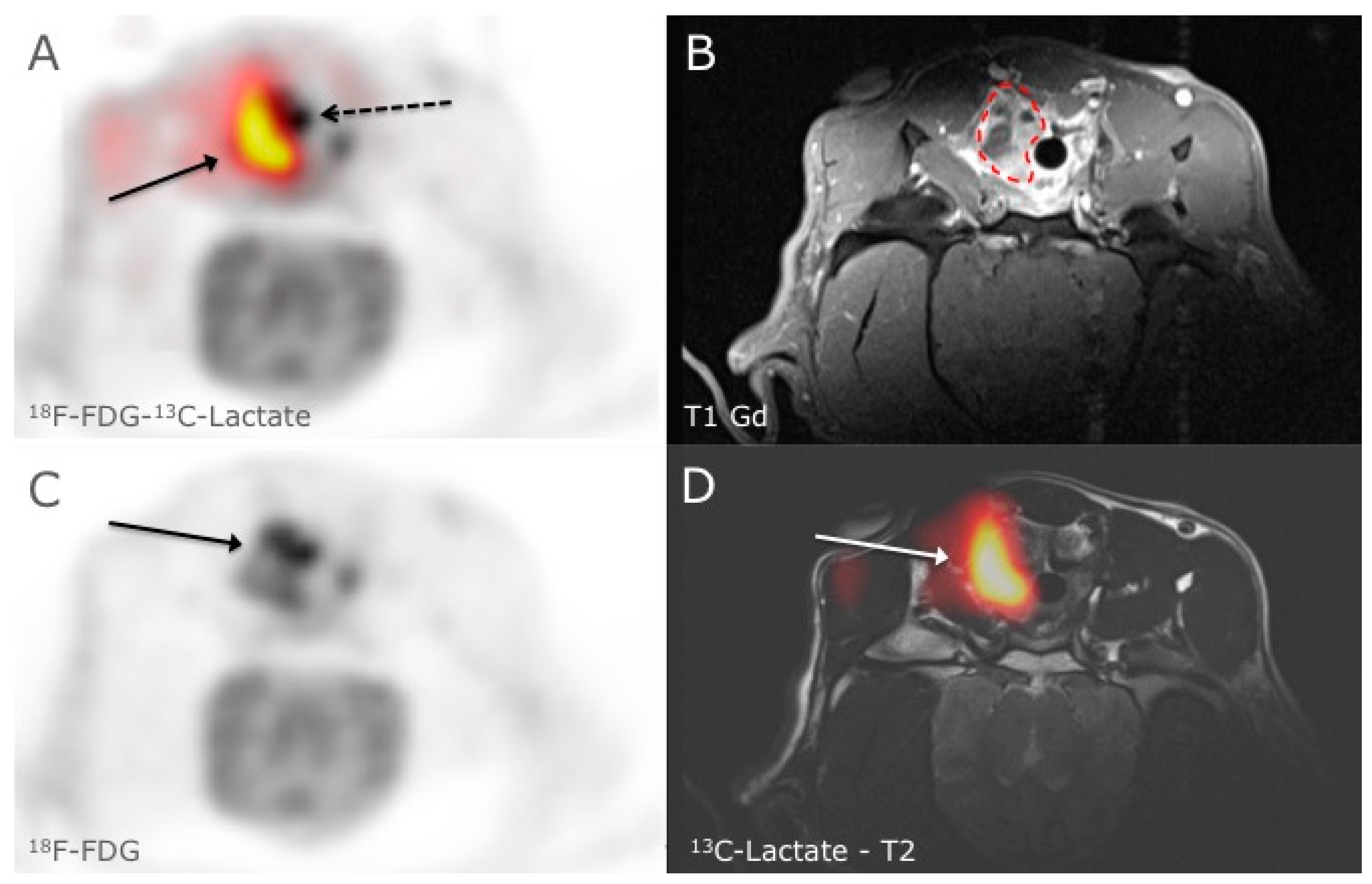 Diagnostics 05 00287 g001