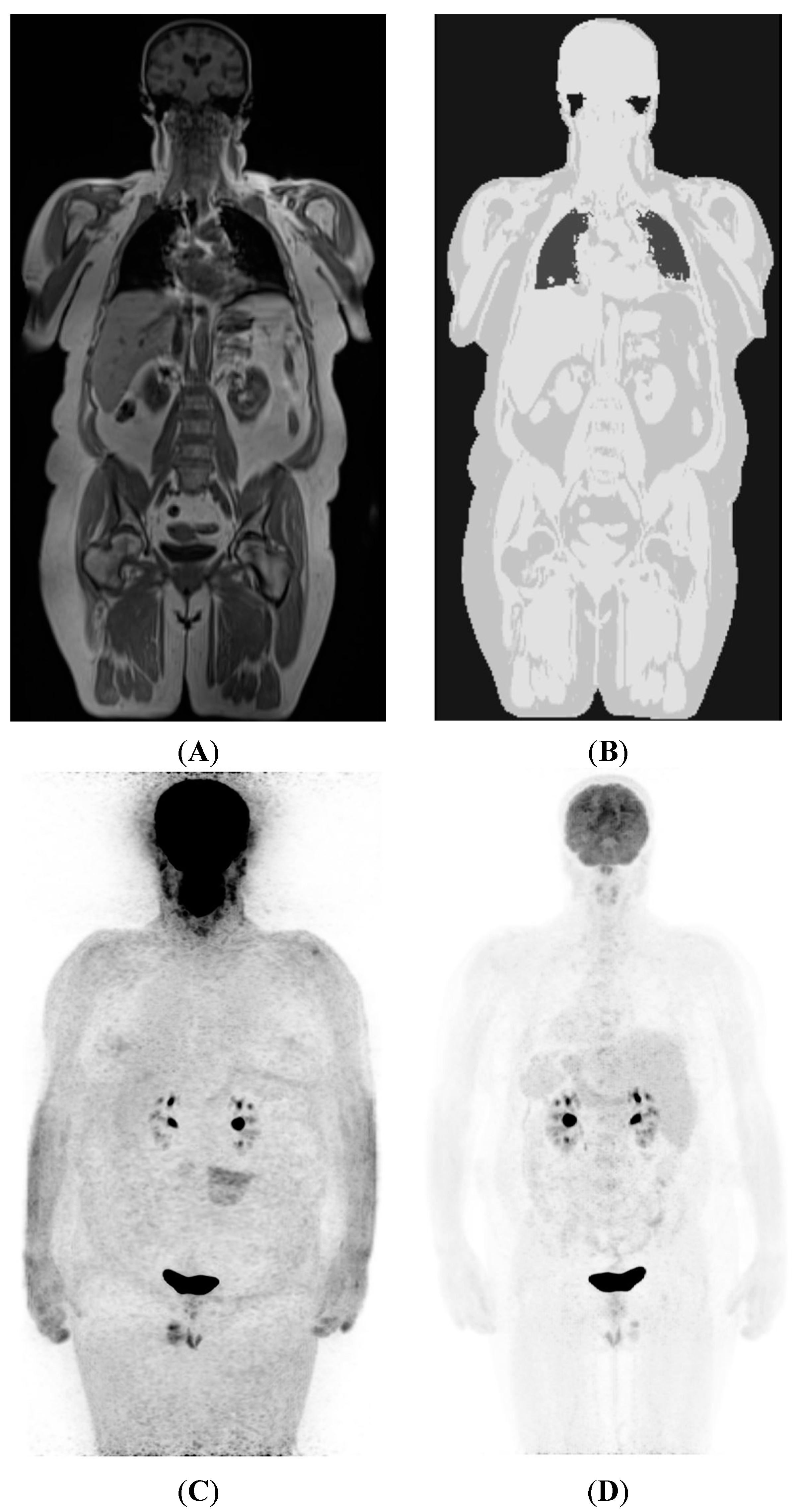 Diagnostics 05 00333 g001
