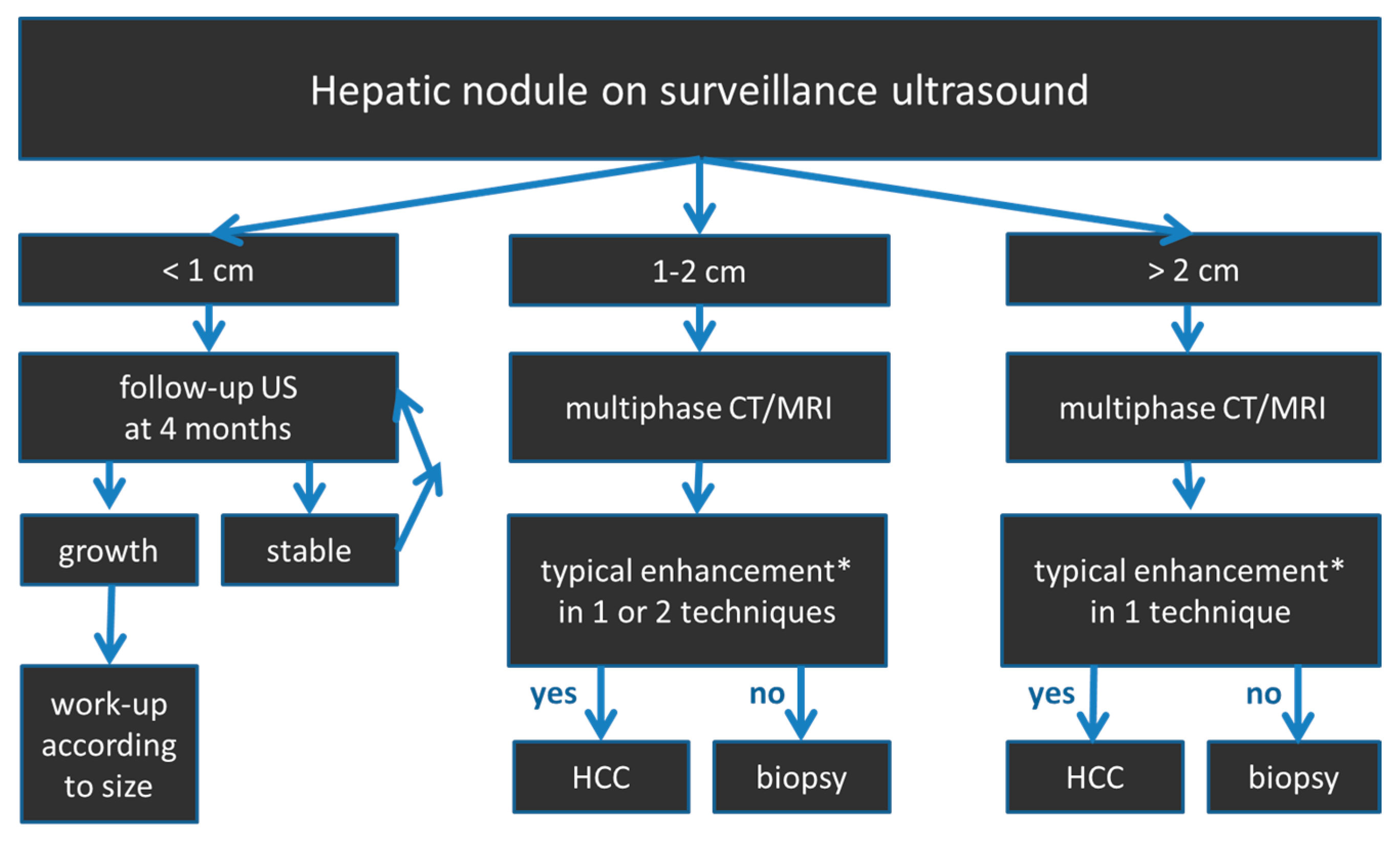 diagnostics-free-full-text-imaging-of-hcc-current-state-of-the-art