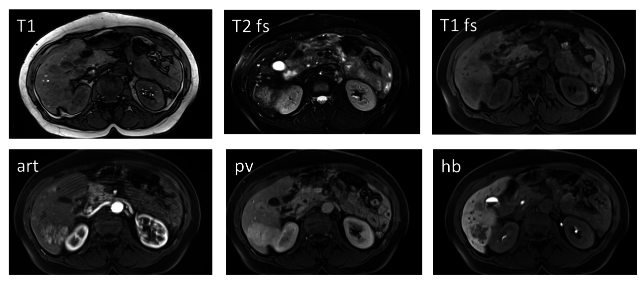 Diagnostics 05 00513 g004