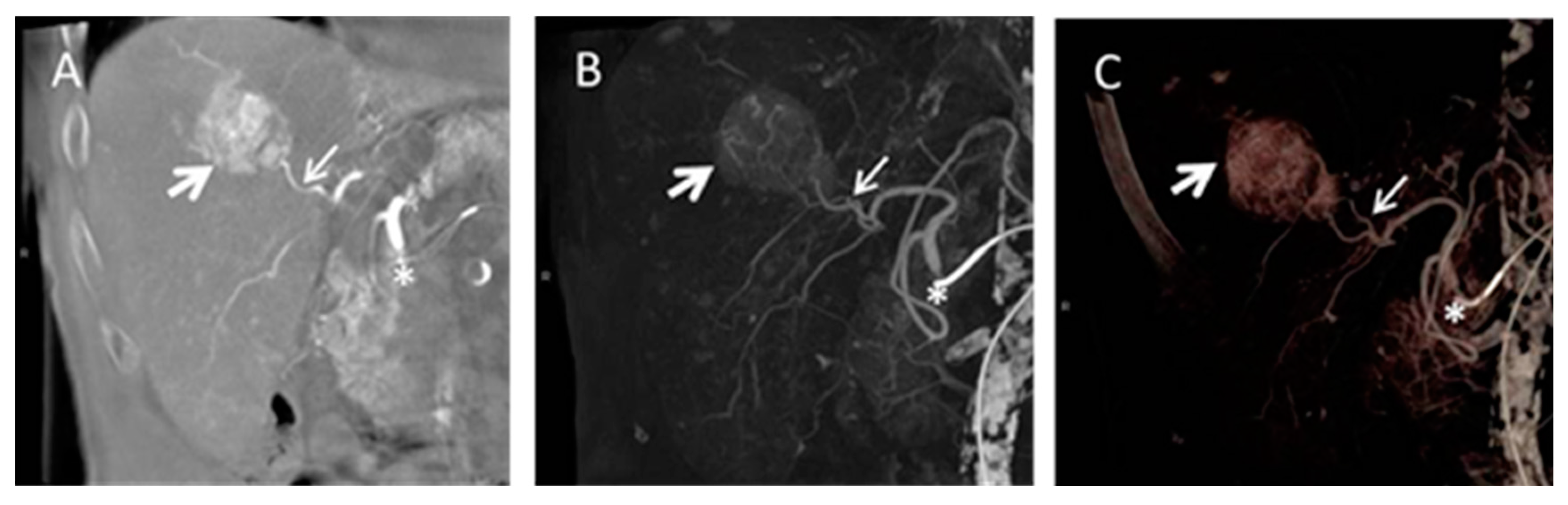 Diagnostics 05 00513 g008