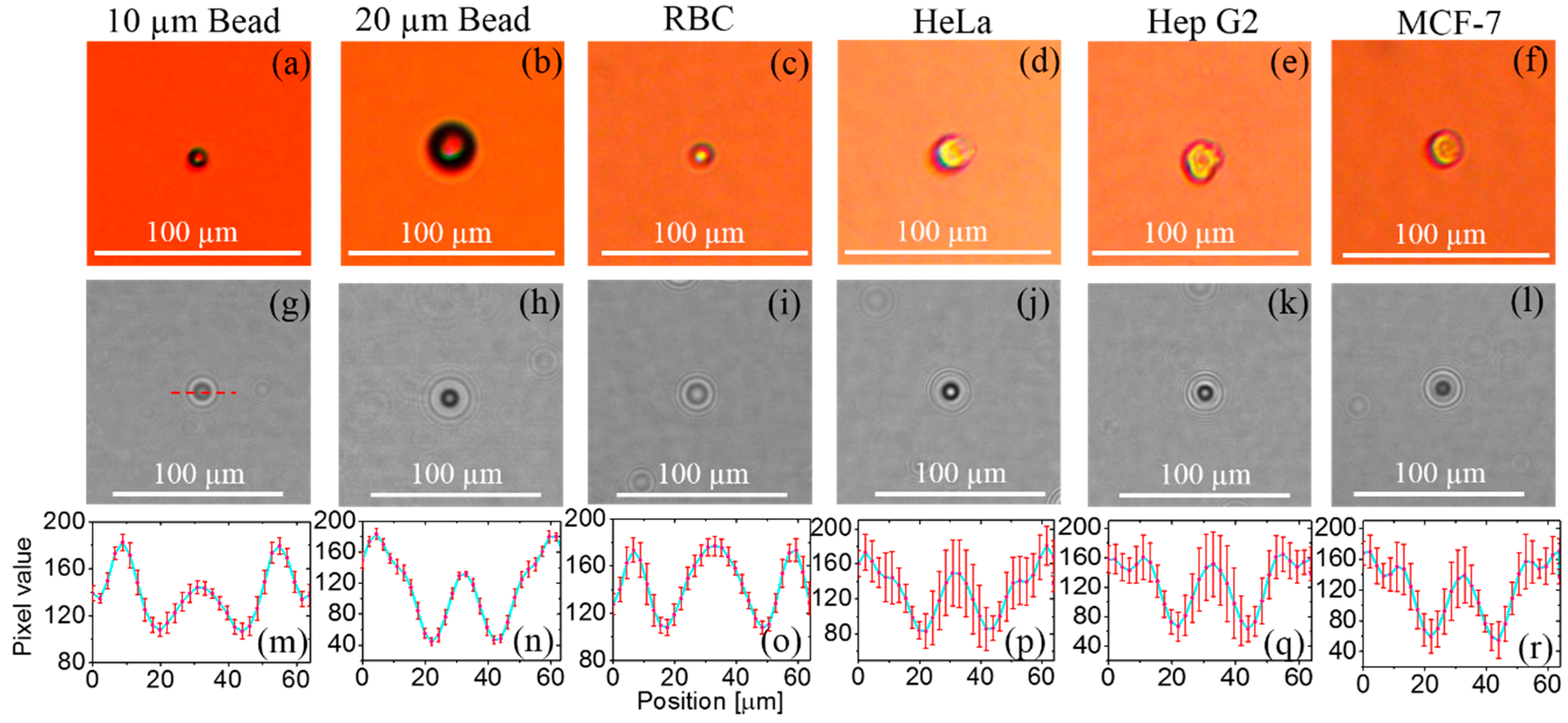 Diagnostics 06 00017 g002 1024