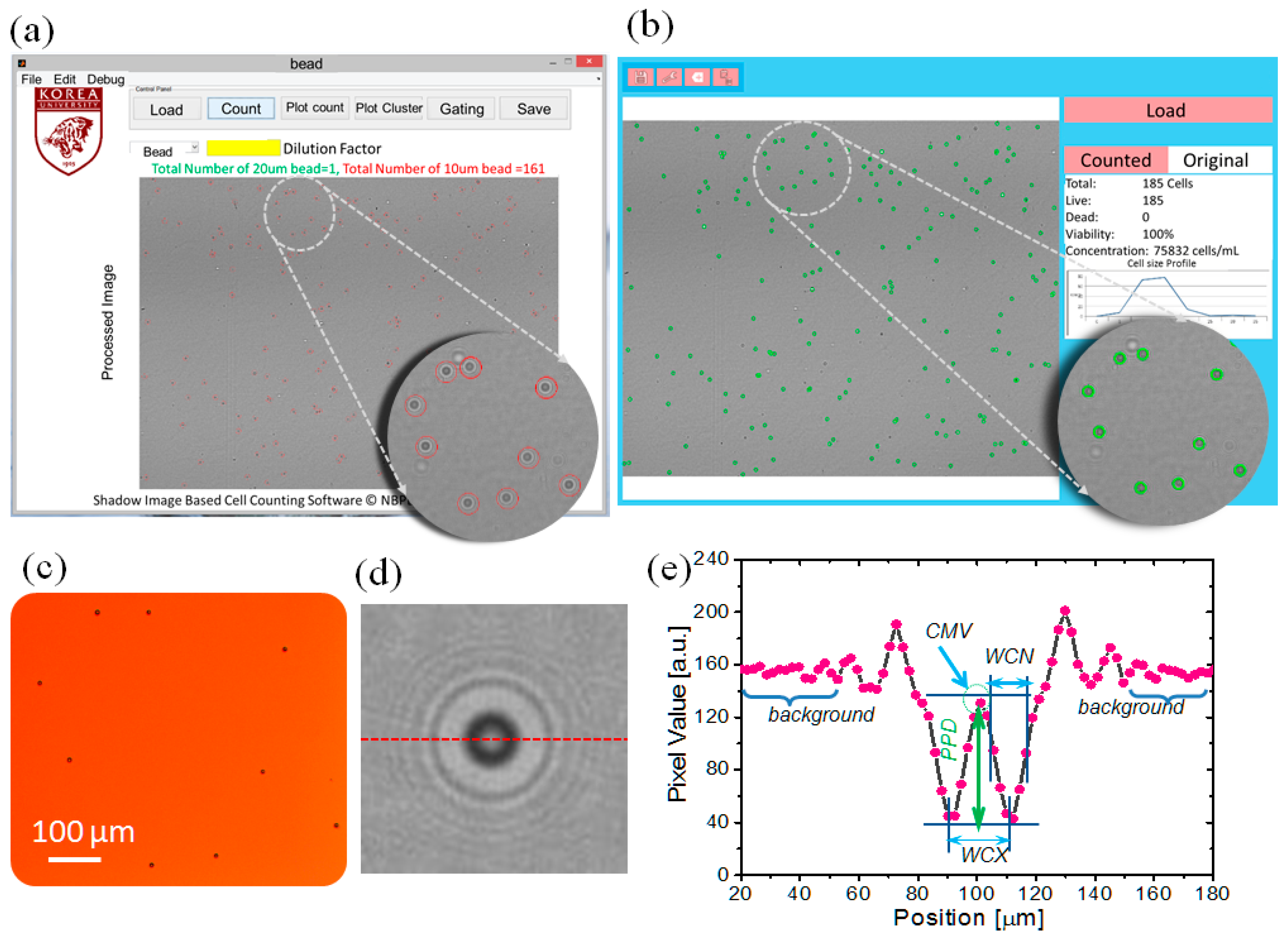 Diagnostics 06 00017 g003 1024