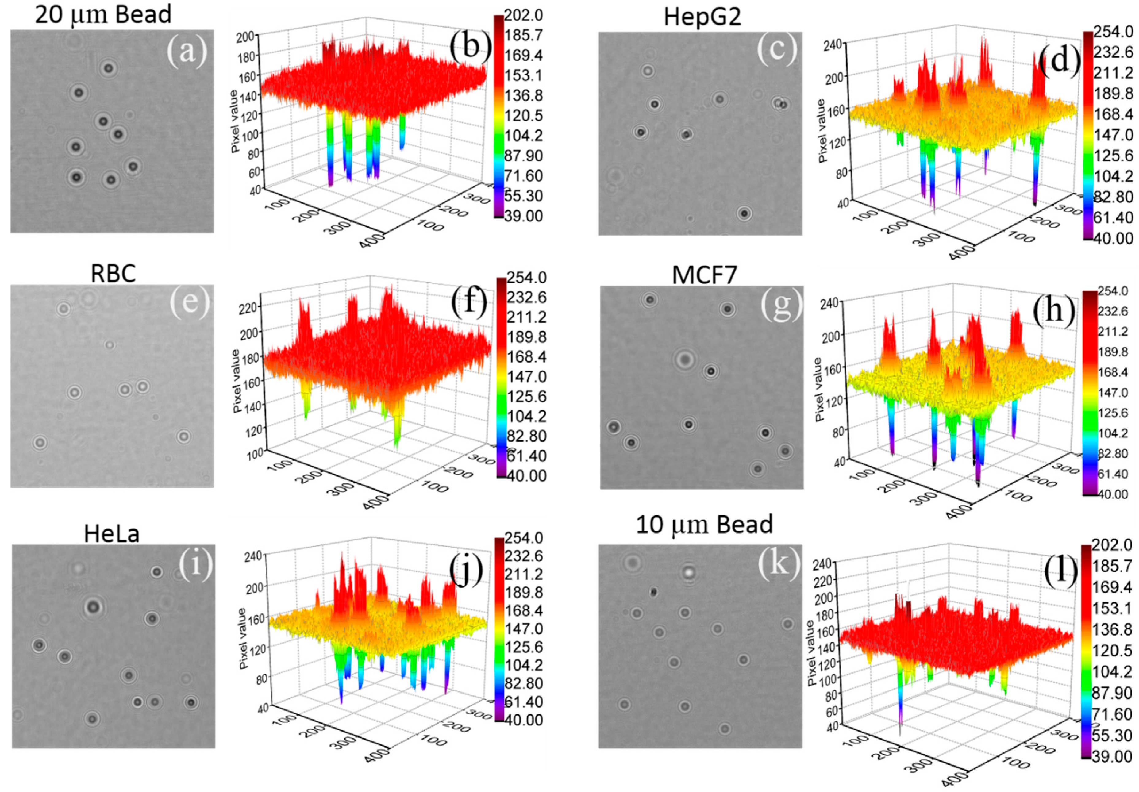 Diagnostics 06 00017 g004 1024