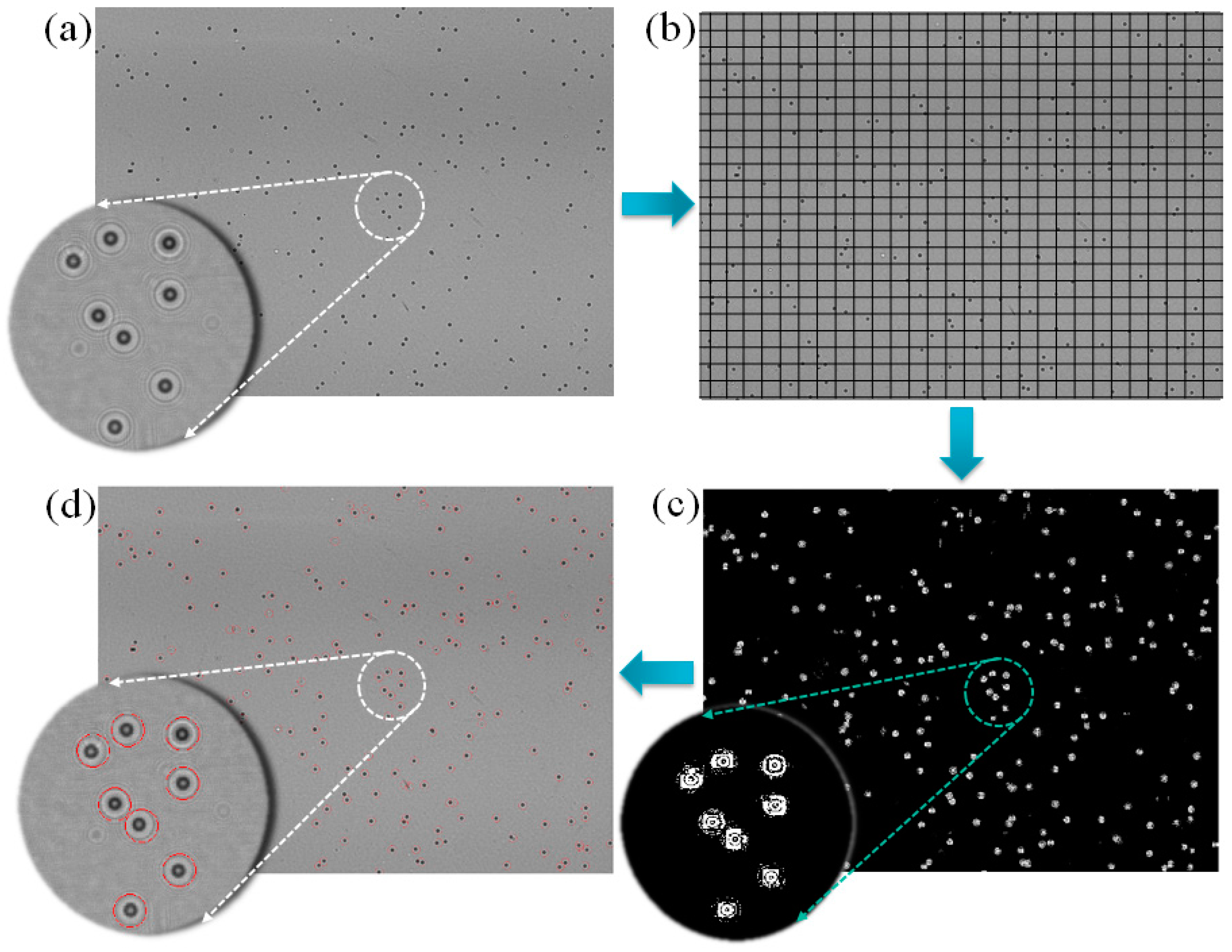 Diagnostics 06 00017 g005 1024