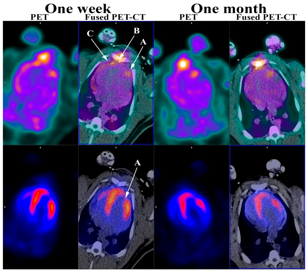 Diagnostics | Special Issue : Positron Emission Tomography (PET) in ...