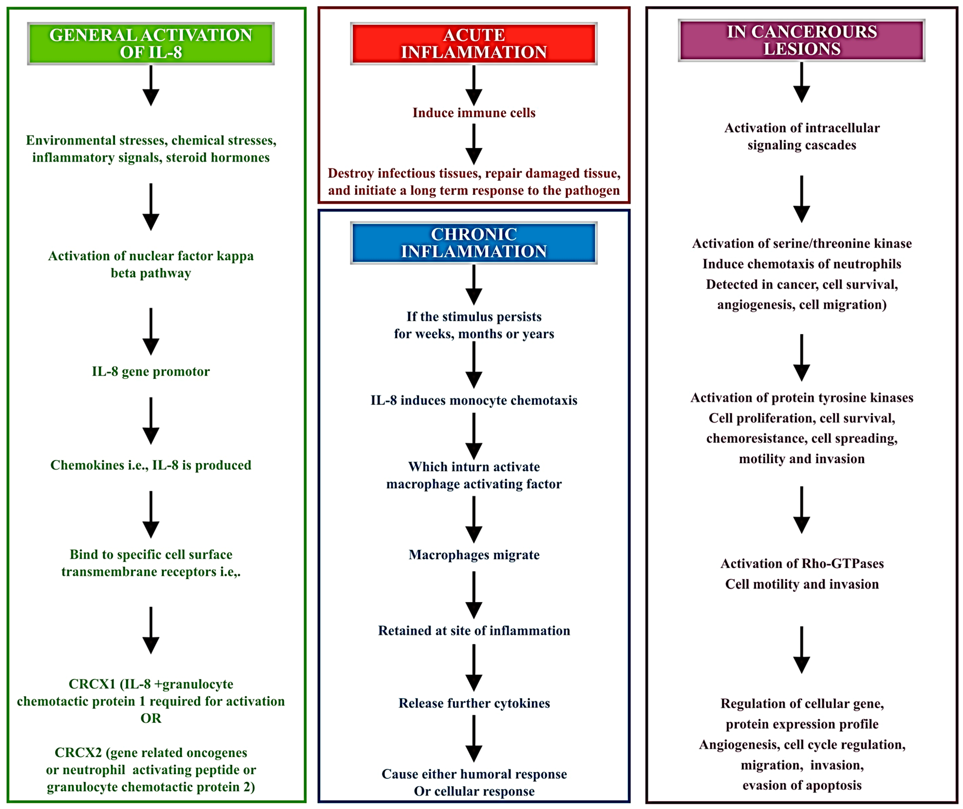 Diagnostics 07 00021 g003