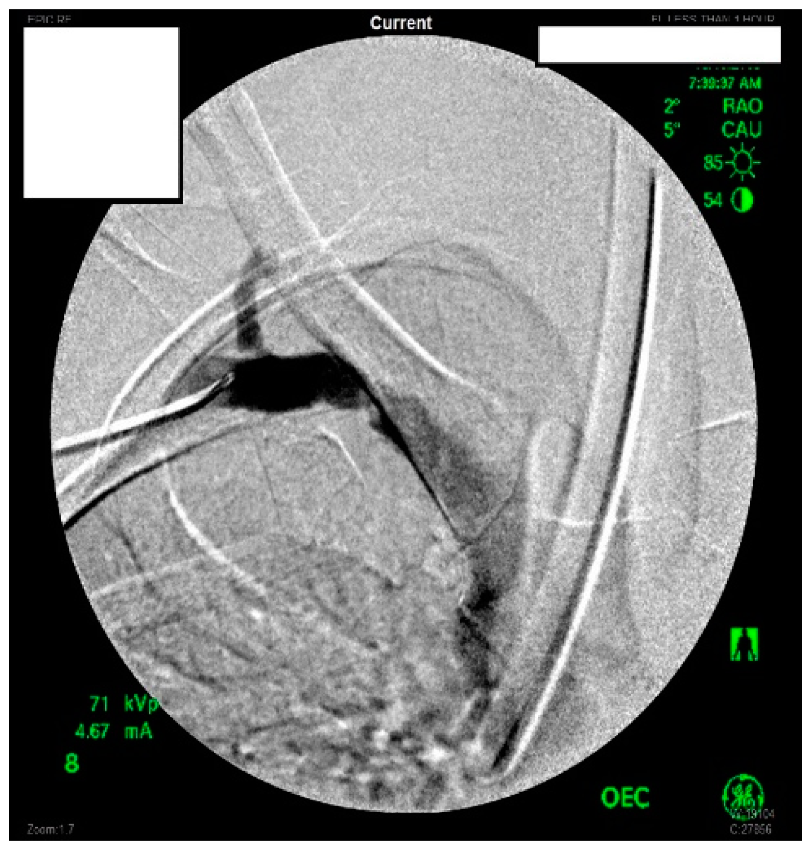 Diagnostics 07 00034 g001 550