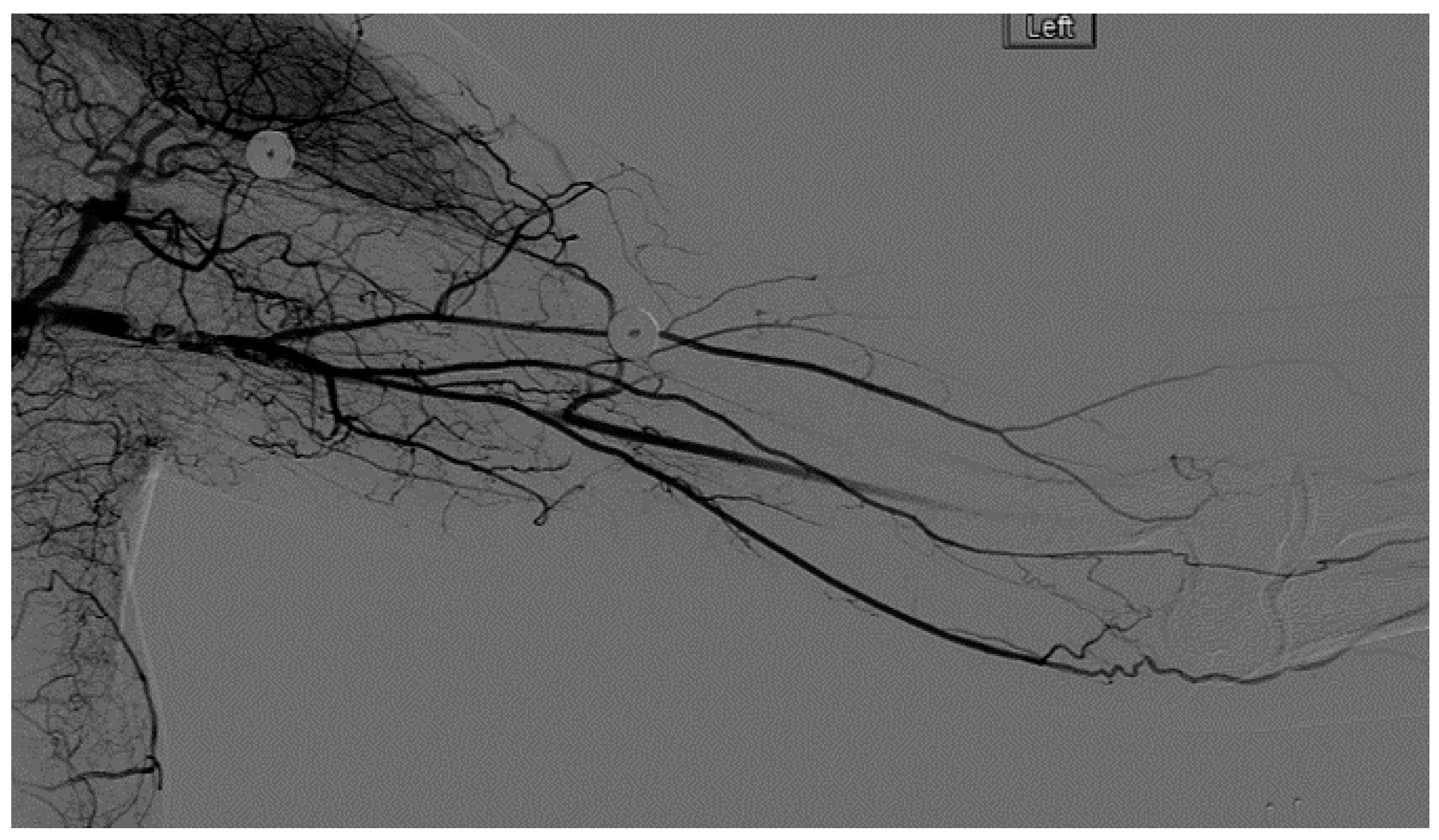 Diagnostics 07 00034 g007 550