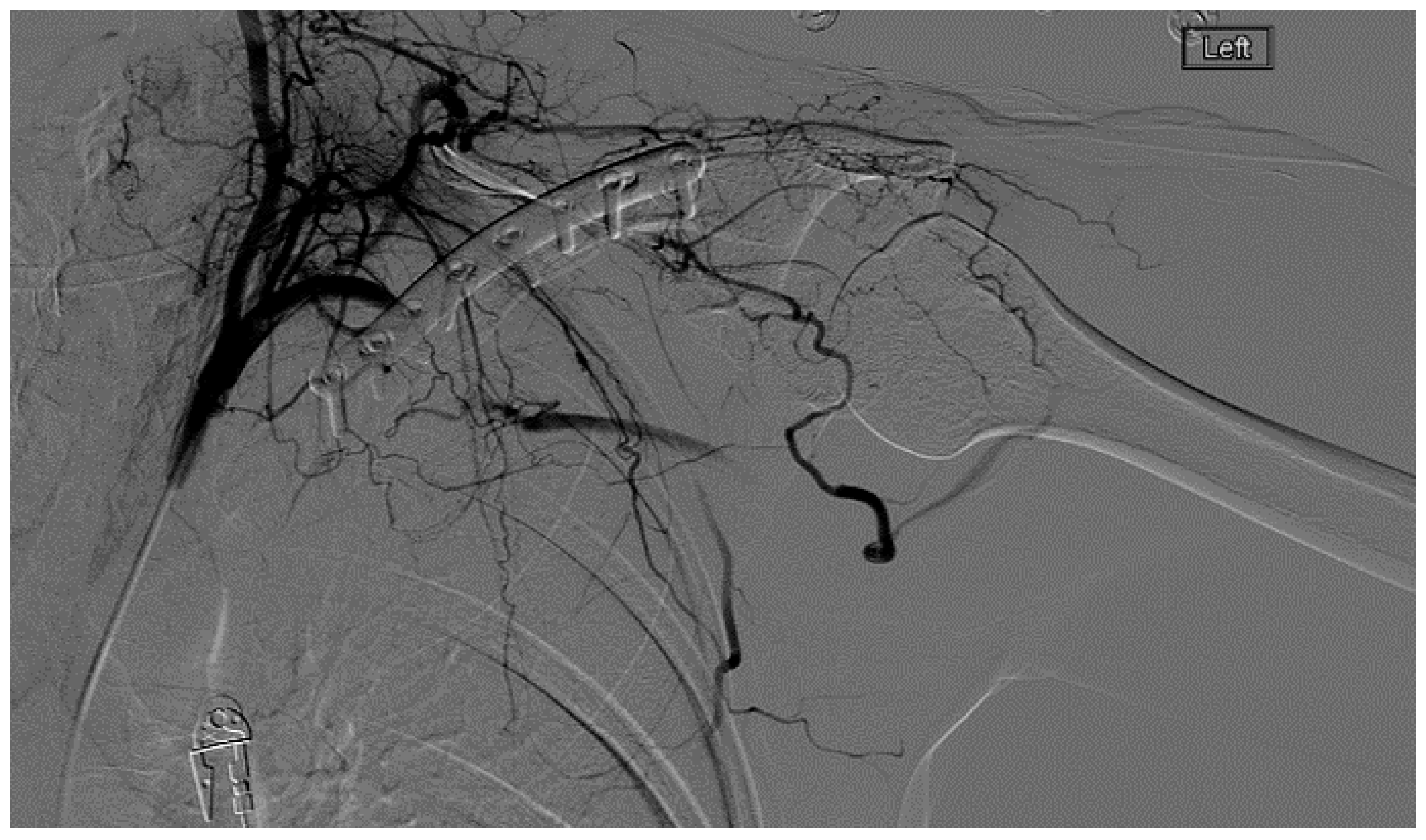 Diagnostics 07 00034 g008 550