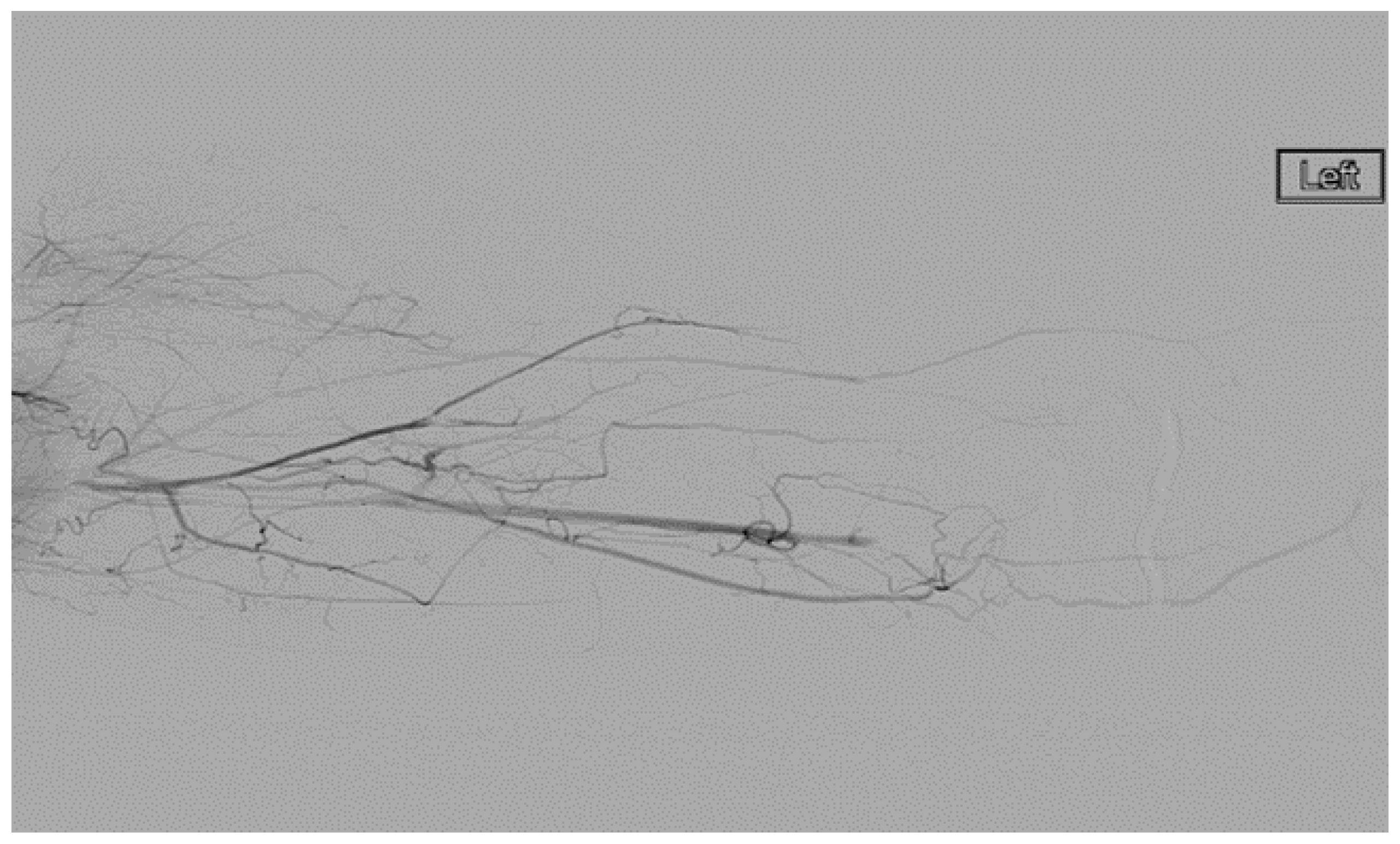 Diagnostics 07 00034 g009 550